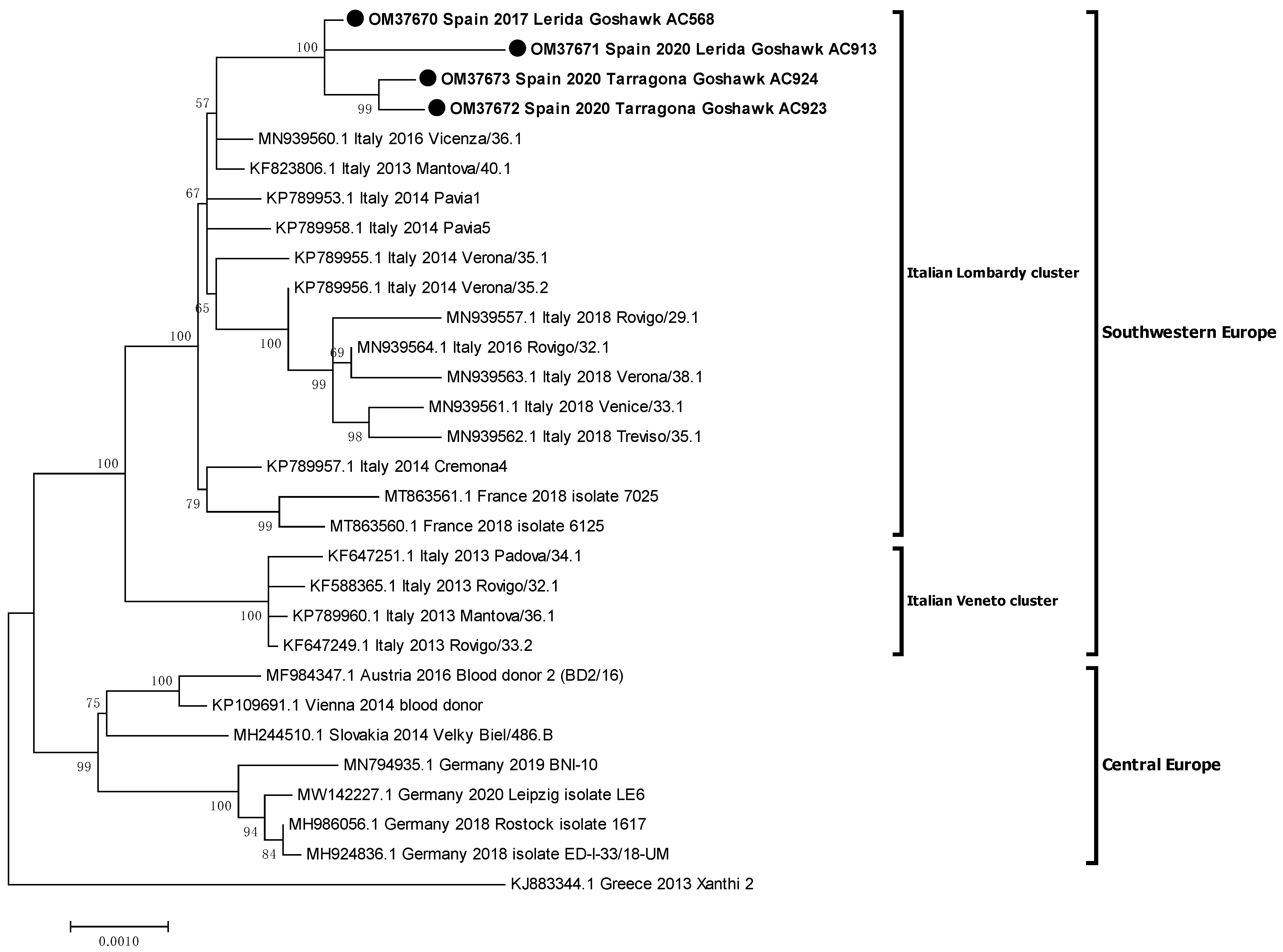Viruses 14 00569 g003
