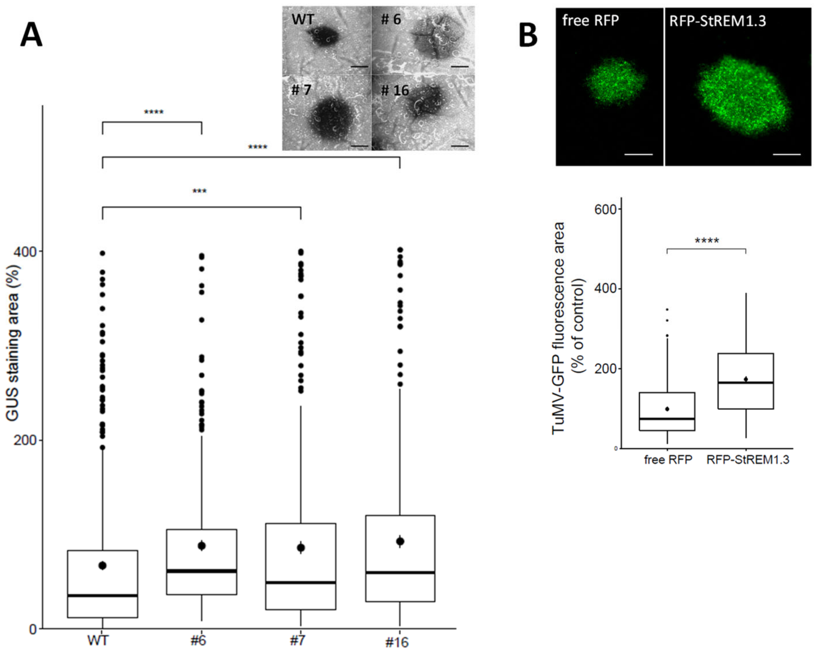 Viruses 14 00574 g001