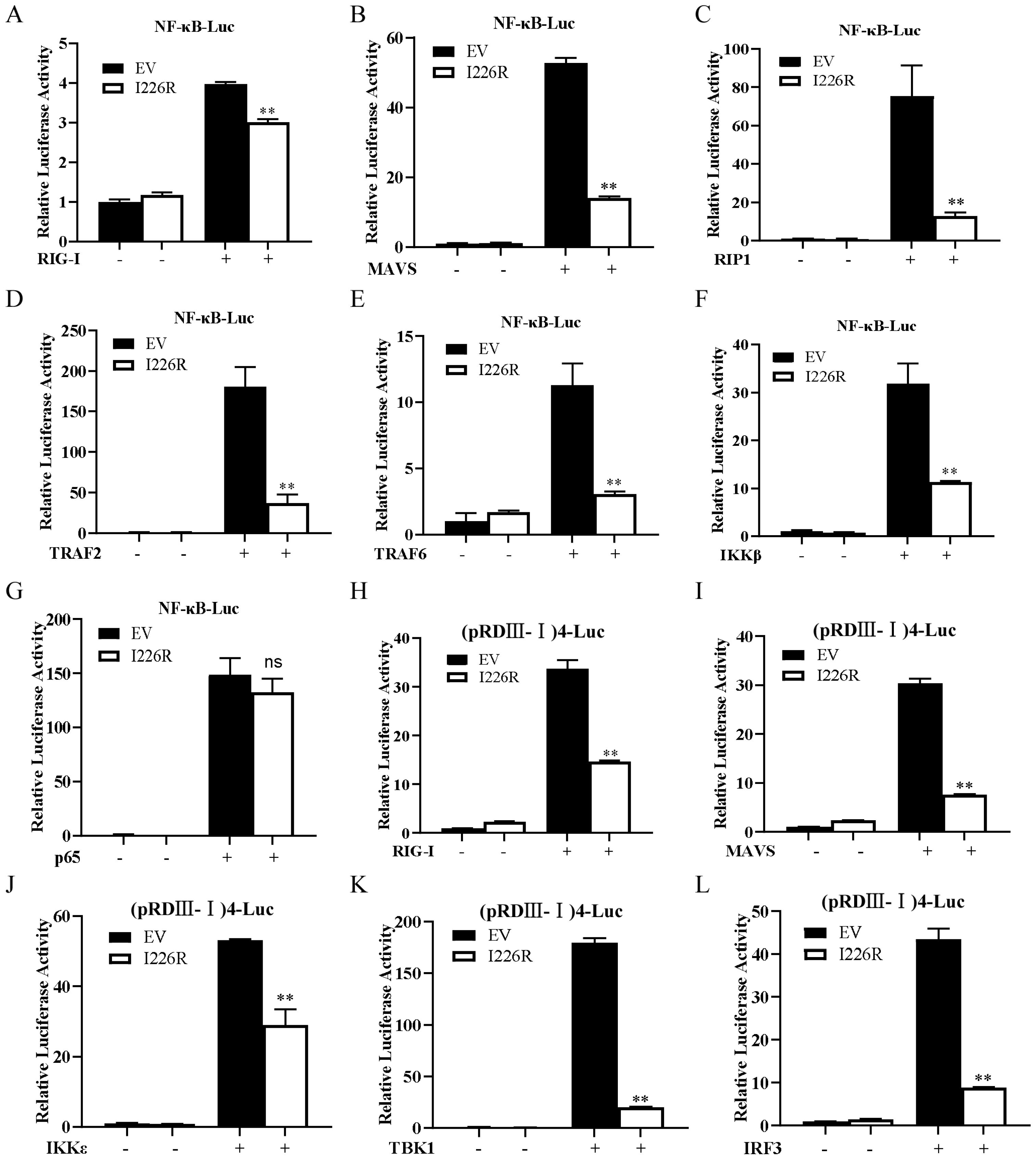 Viruses 14 00575 g006 550