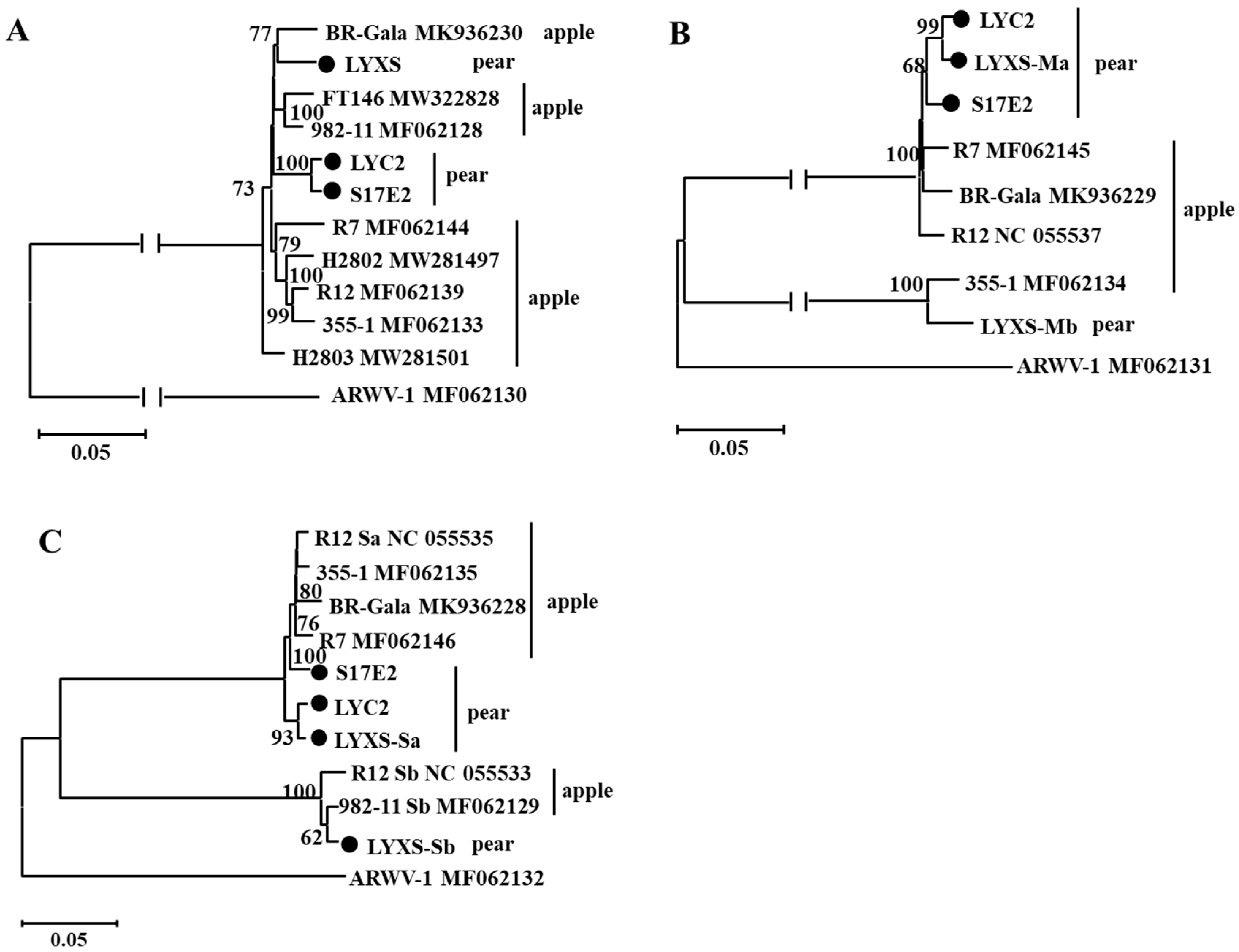 Viruses 14 00576 g002