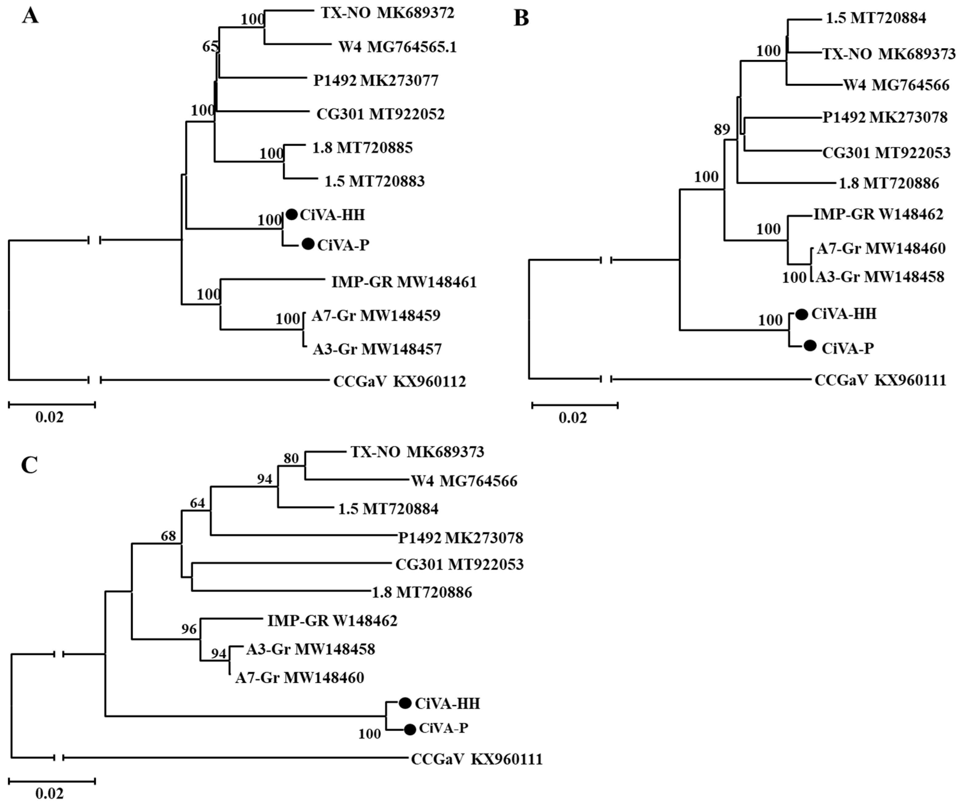 Viruses 14 00576 g003