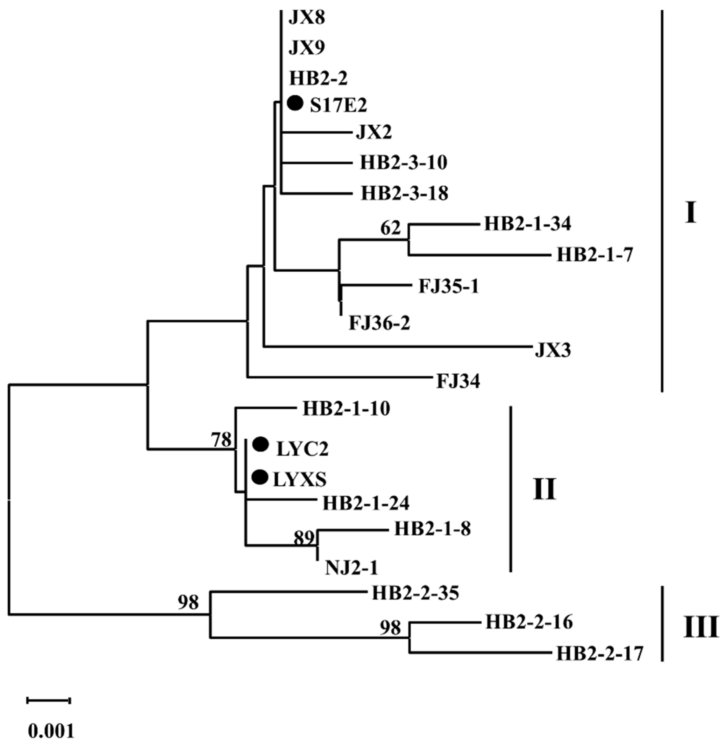 Viruses 14 00576 g005