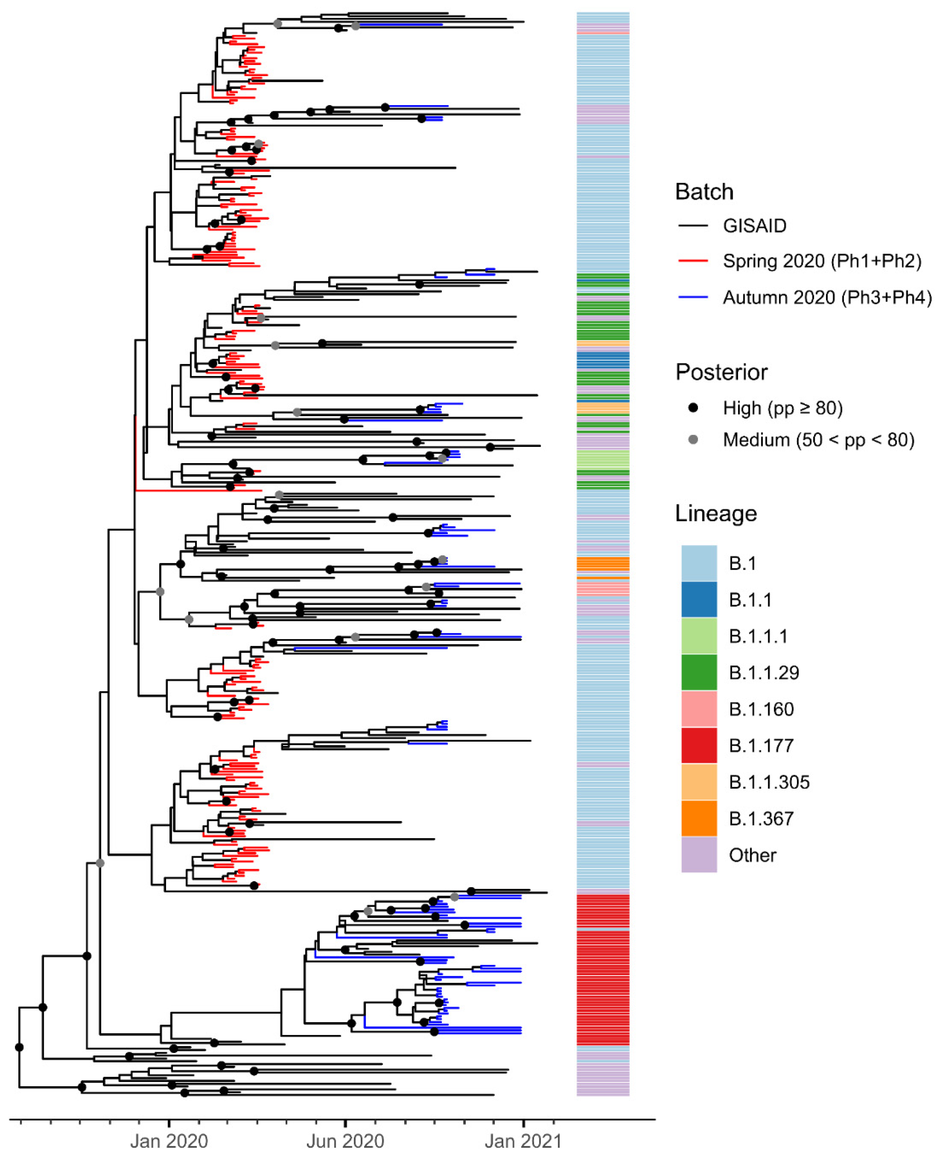 Viruses 14 00580 g003 550