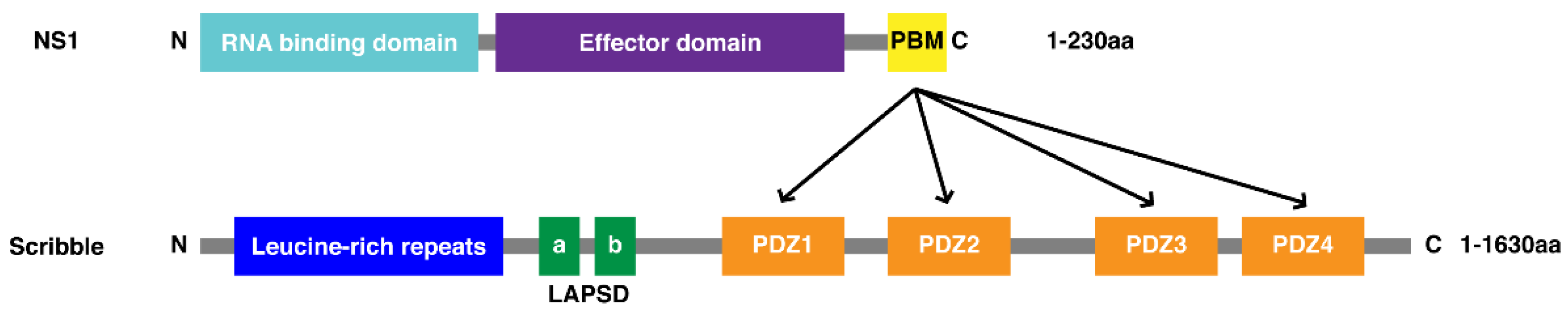 Viruses 14 00583 g001