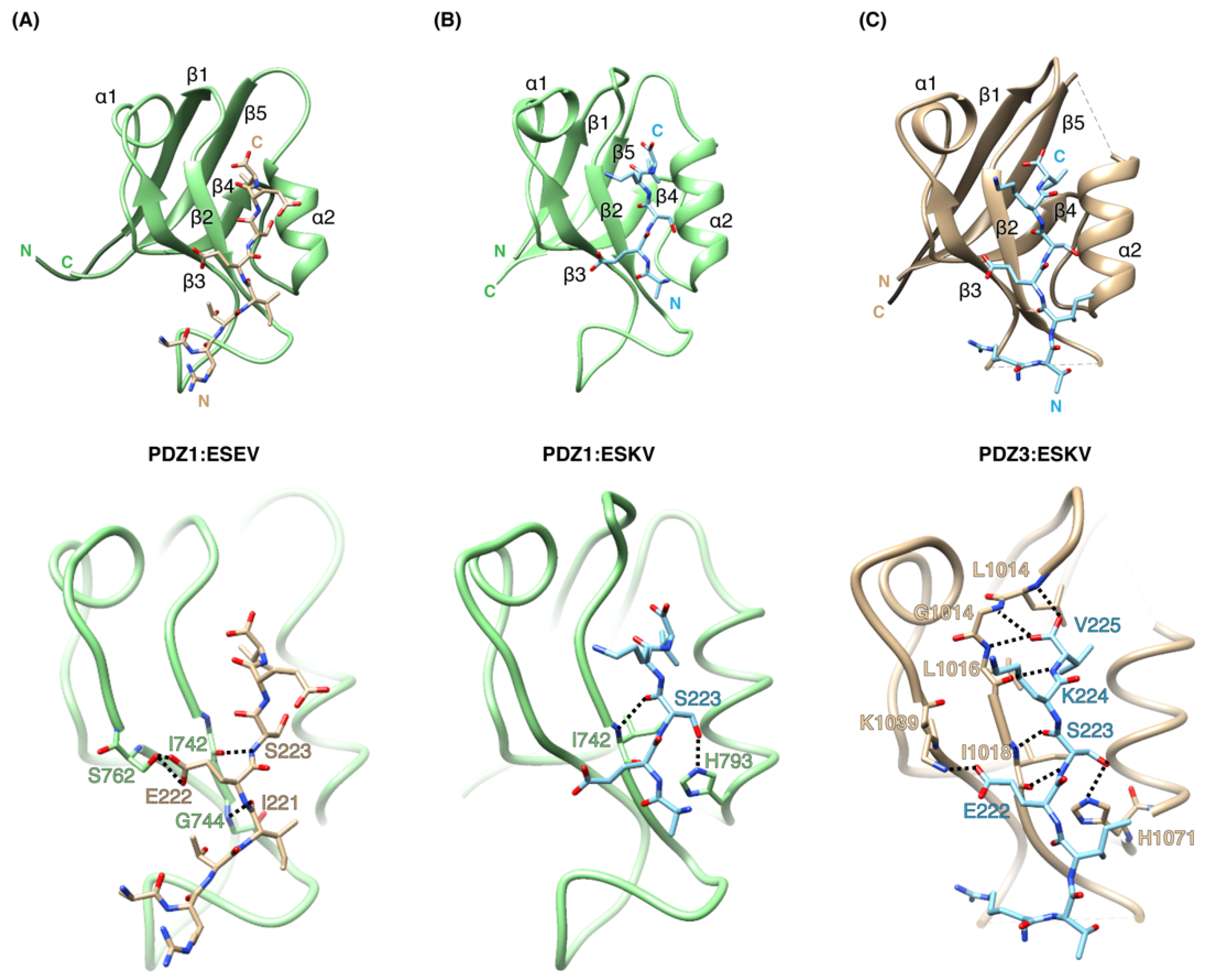 Viruses 14 00583 g003