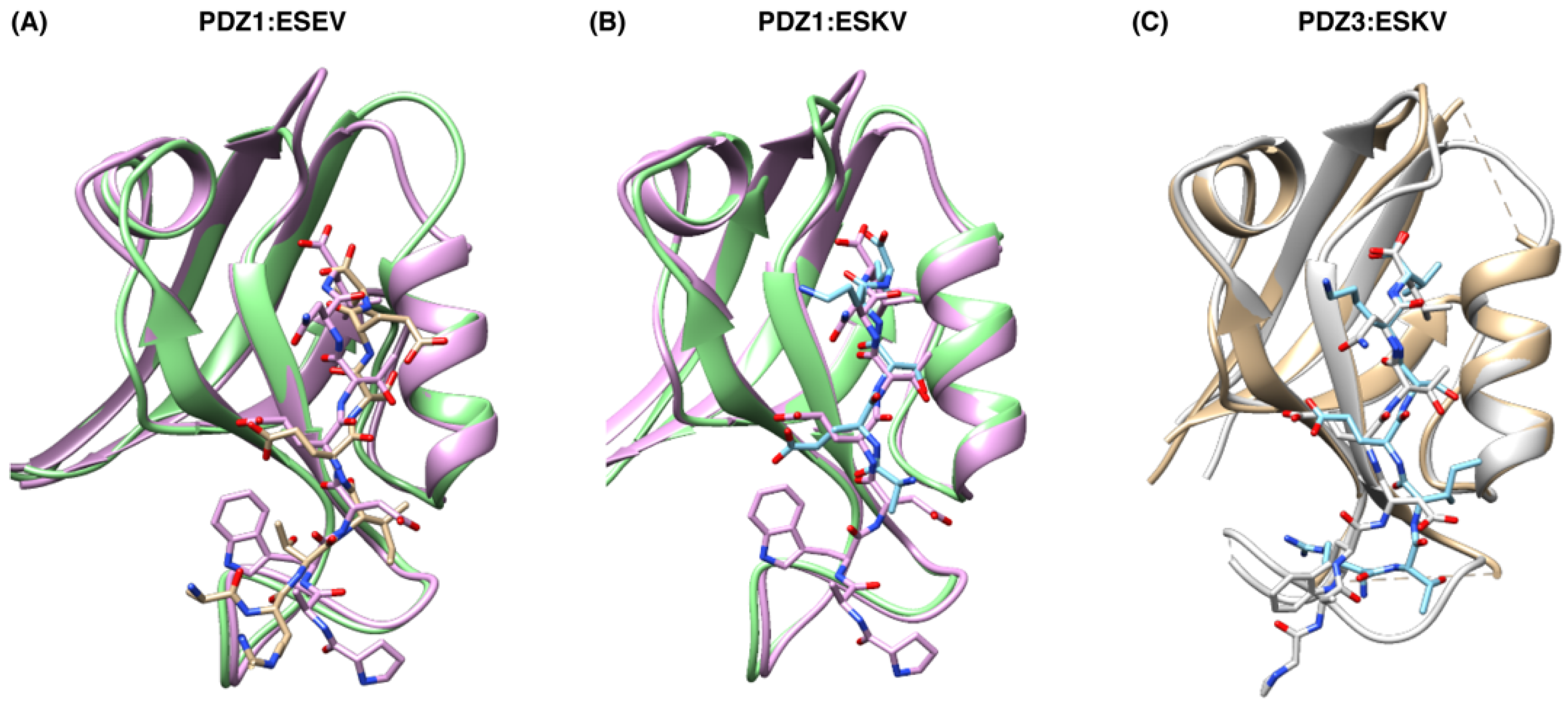 Viruses 14 00583 g004