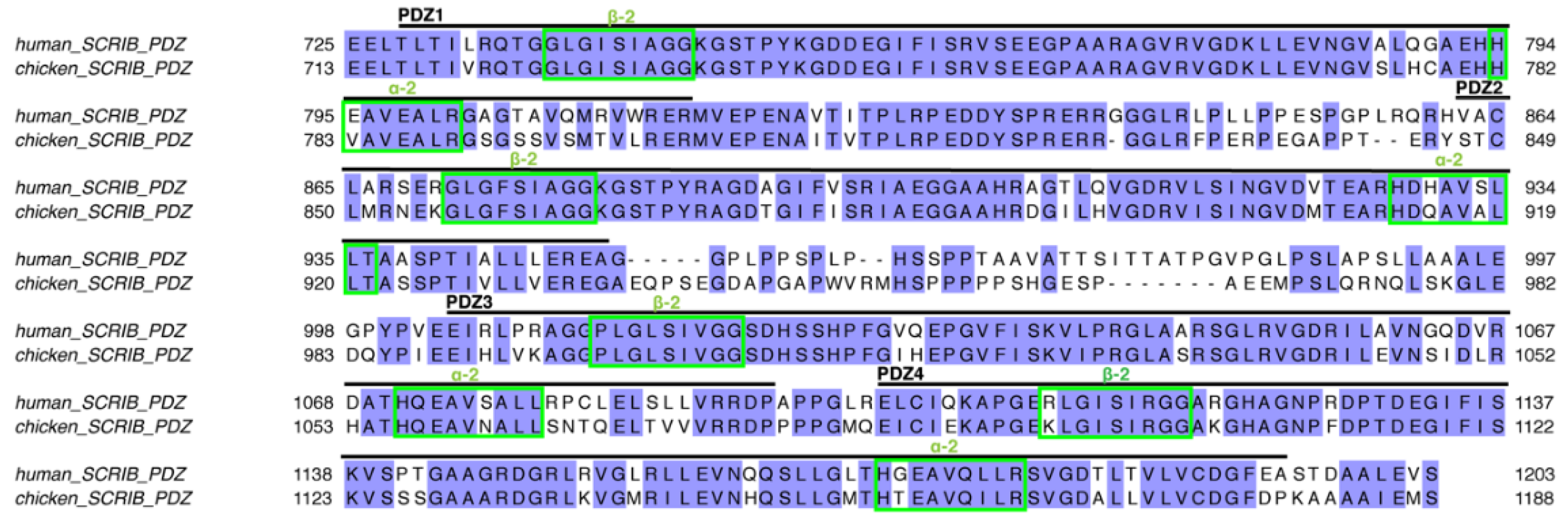 Viruses 14 00583 g007