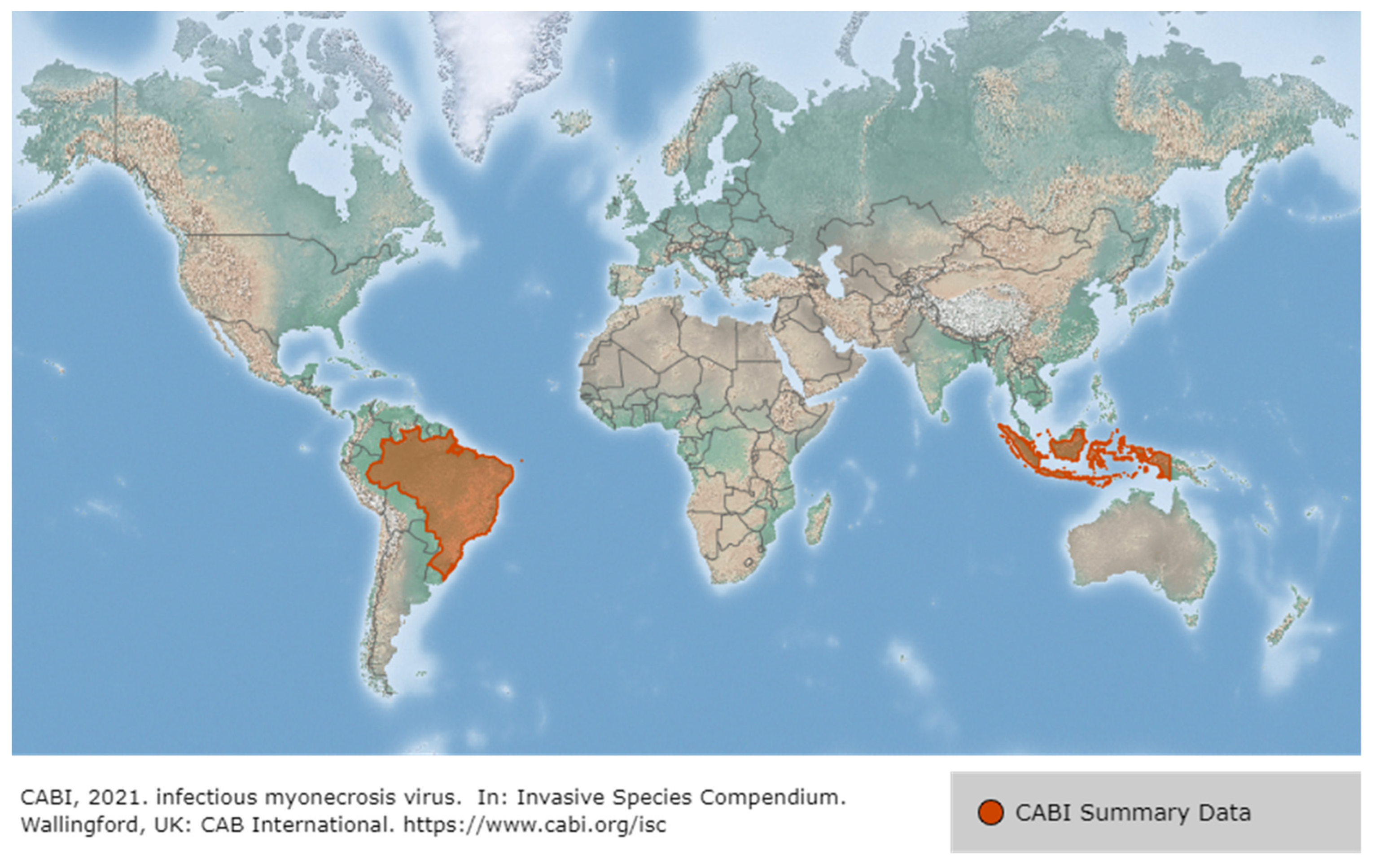 Viruses 14 00585 g012 Viruses 14 00585 g012