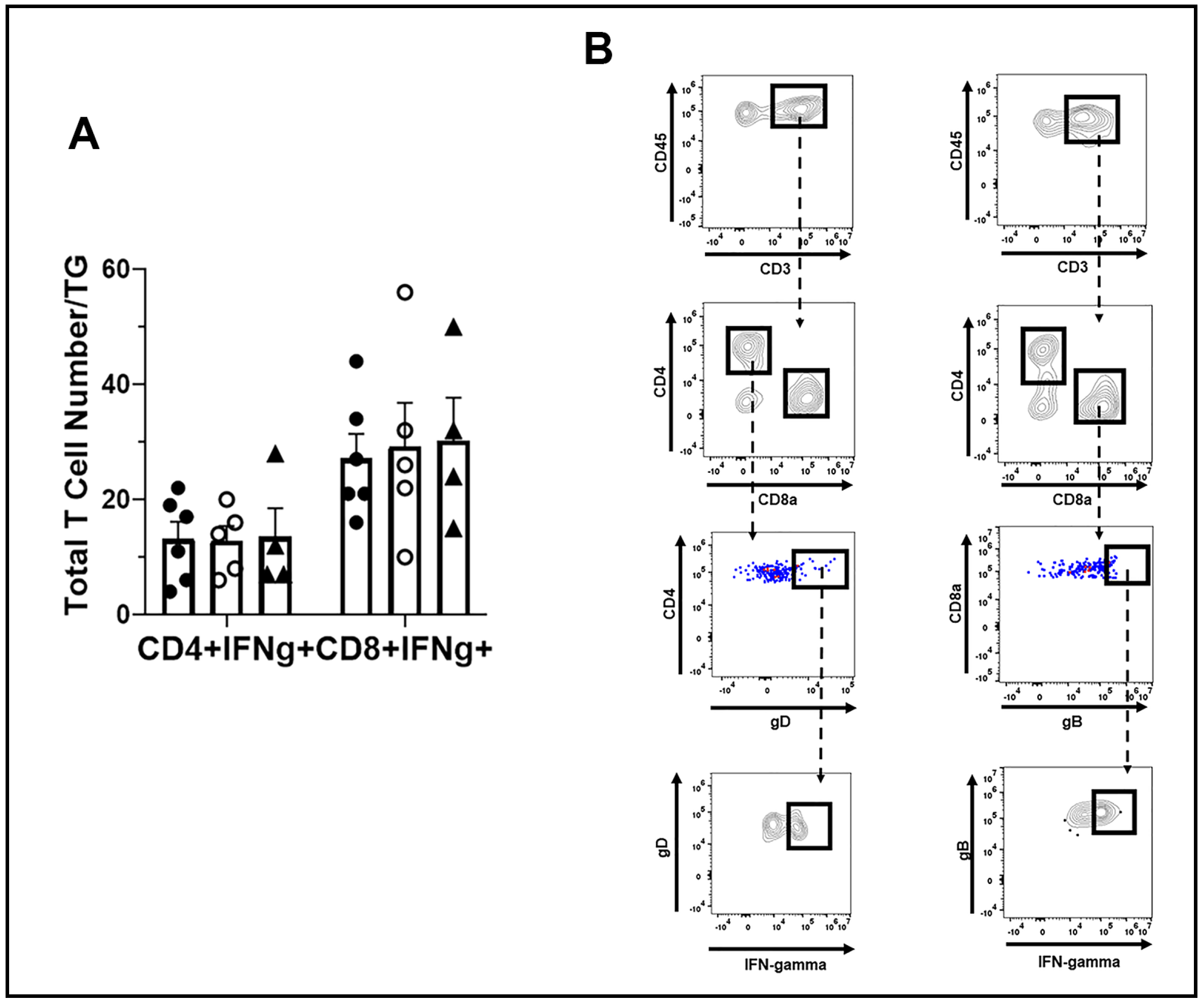 Viruses 14 00589 g008