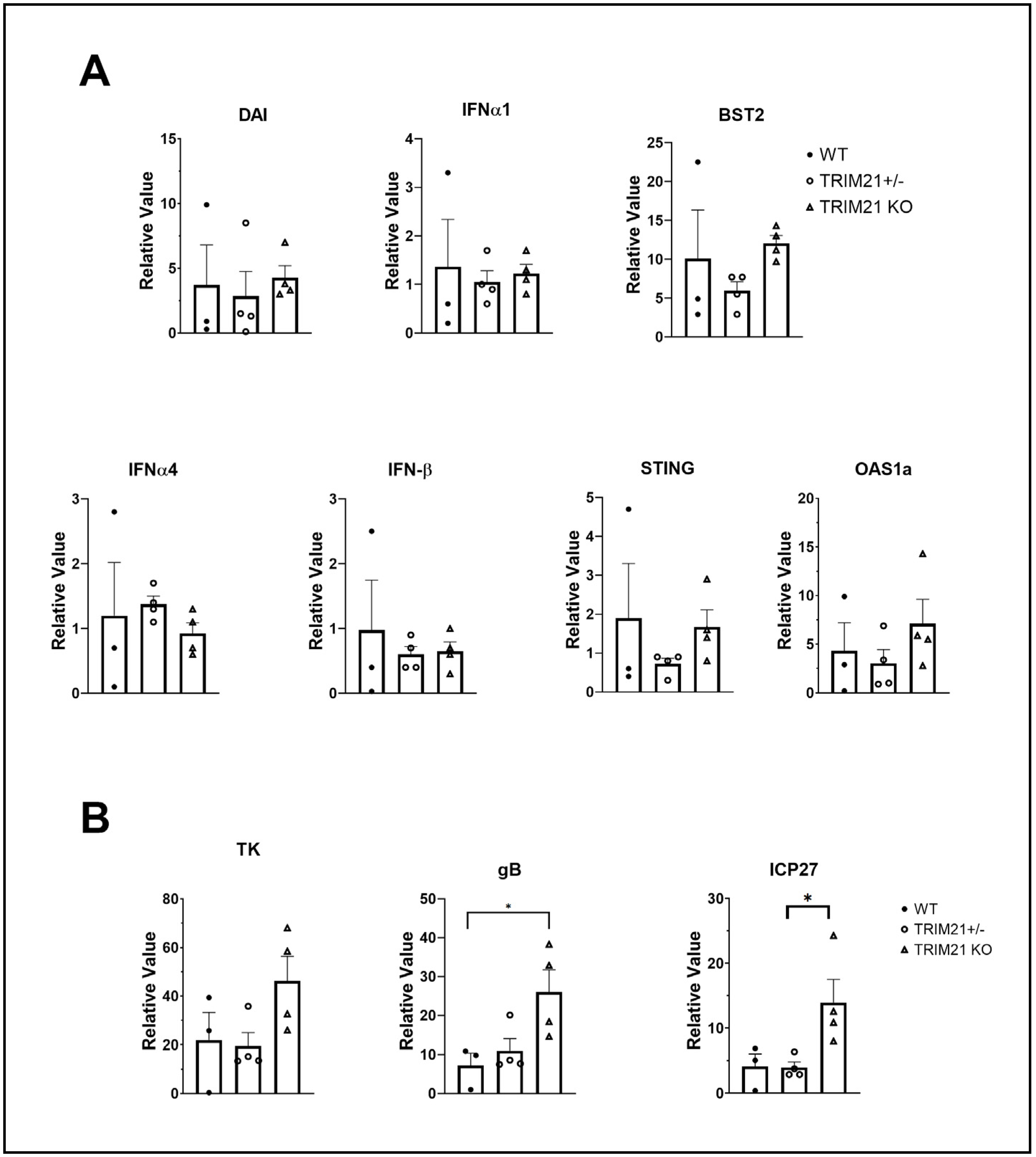 Viruses 14 00589 g009