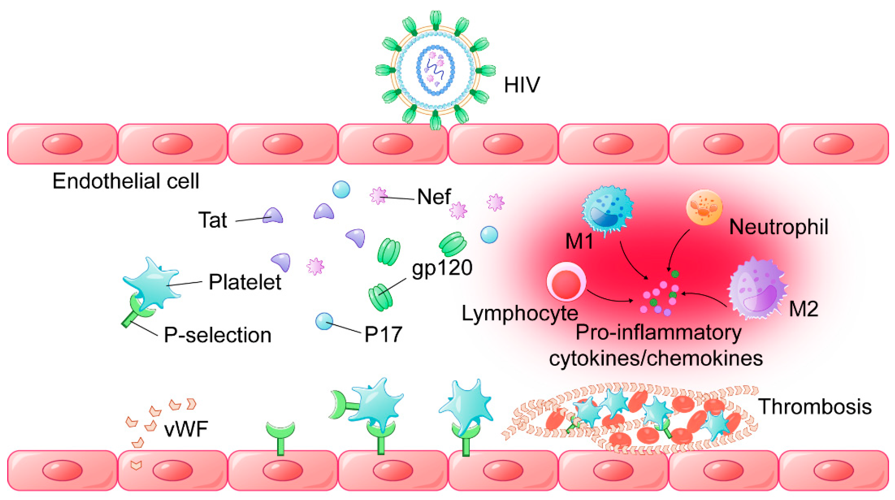 Viruses 14 00590 g002 Viruses 14 00590 g002