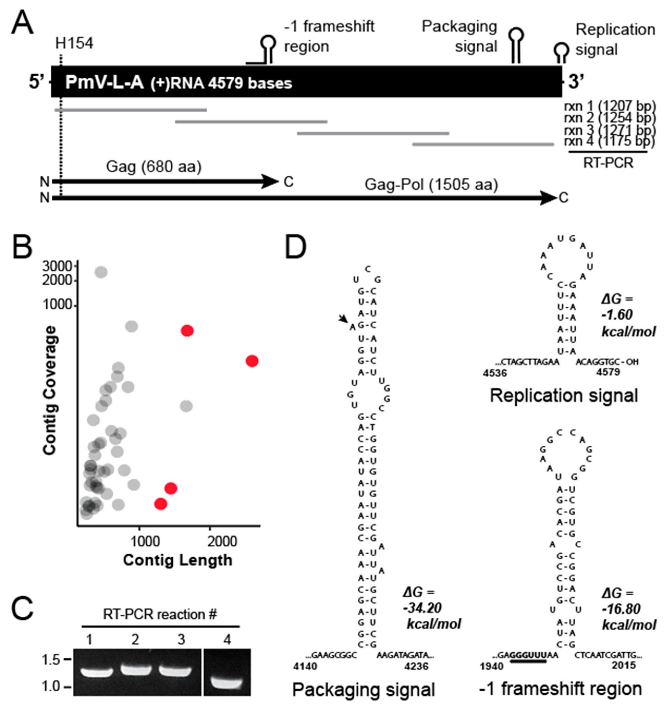 Viruses 14 00594 g002