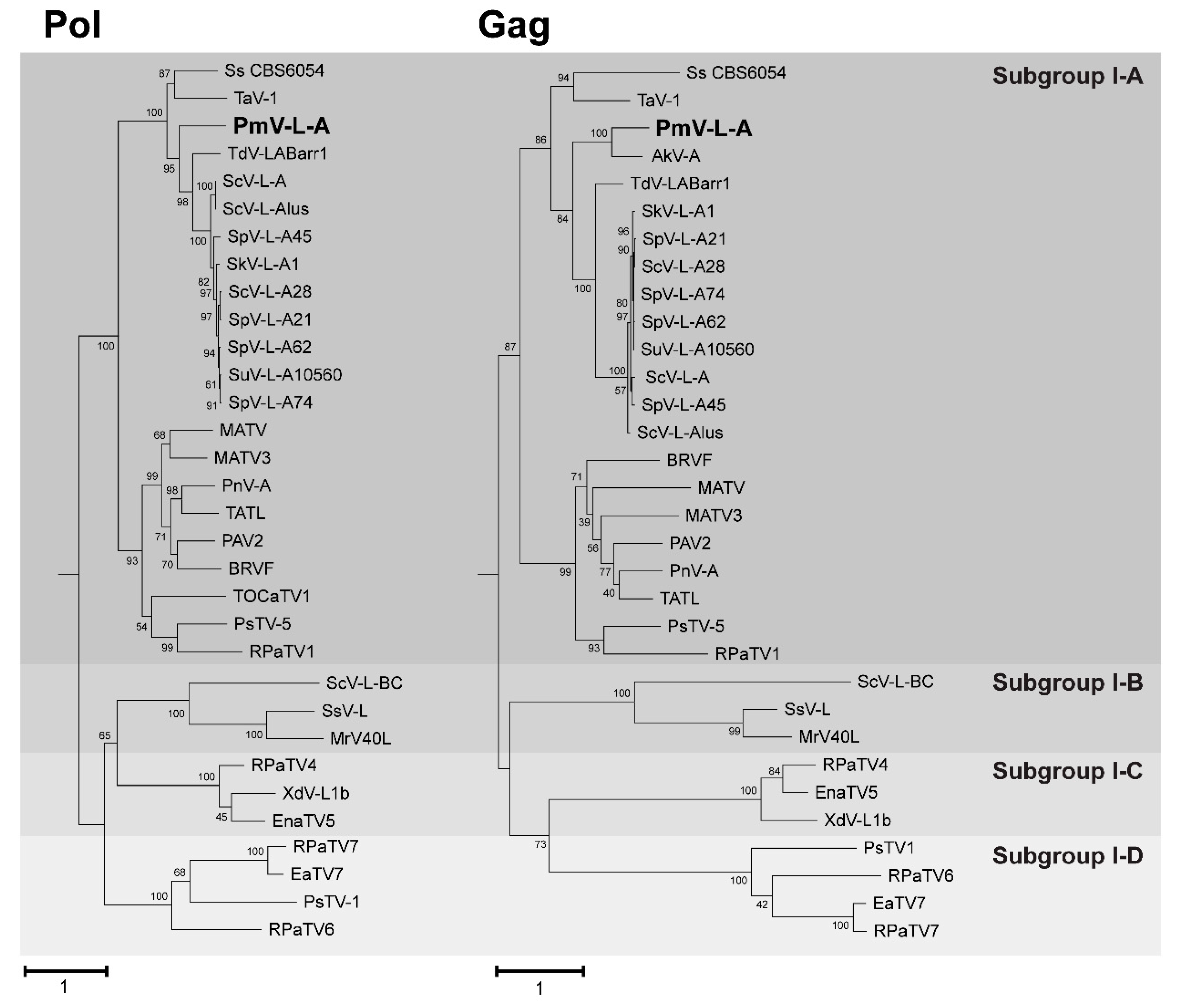 Viruses 14 00594 g003