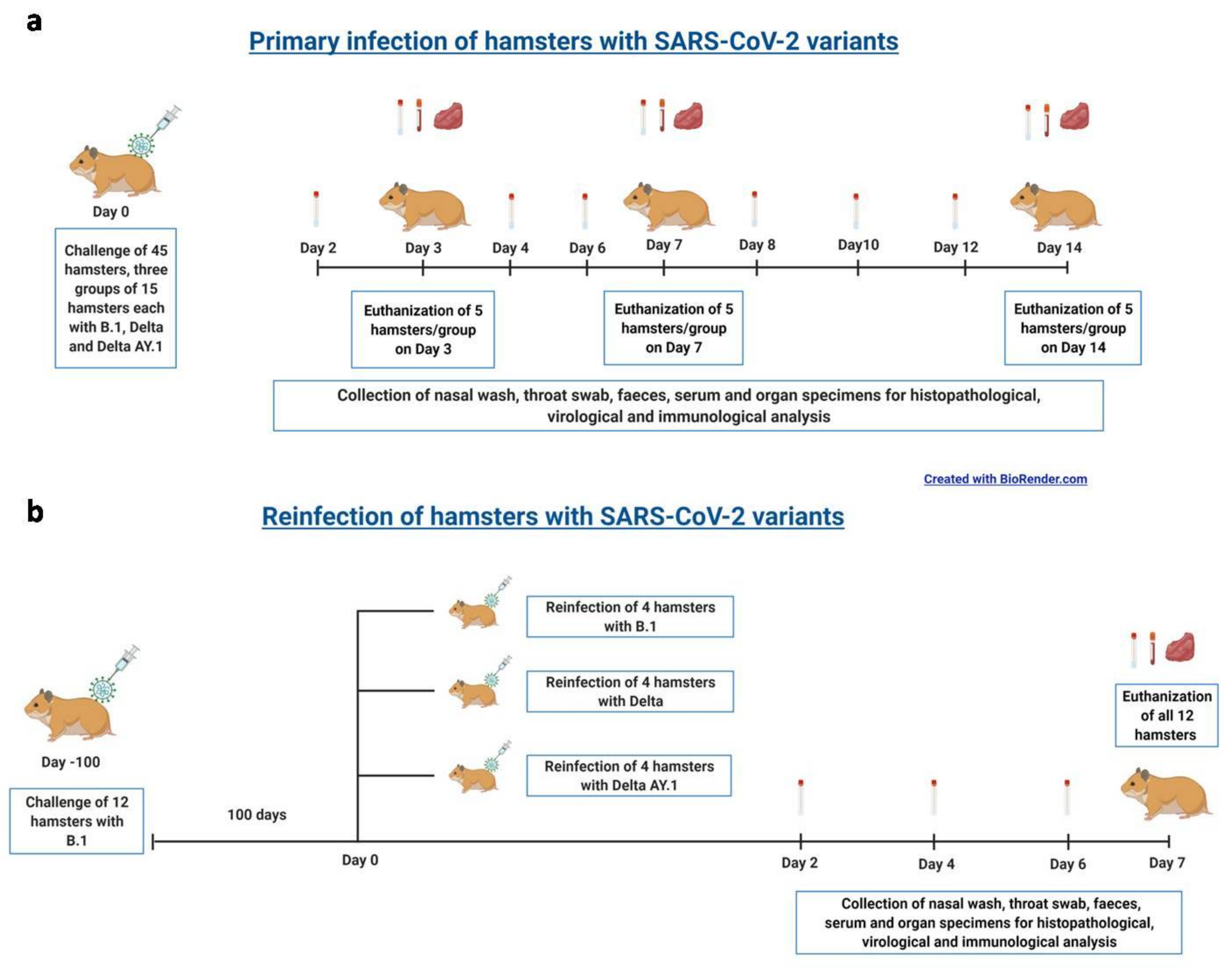 Viruses 14 00596 g001