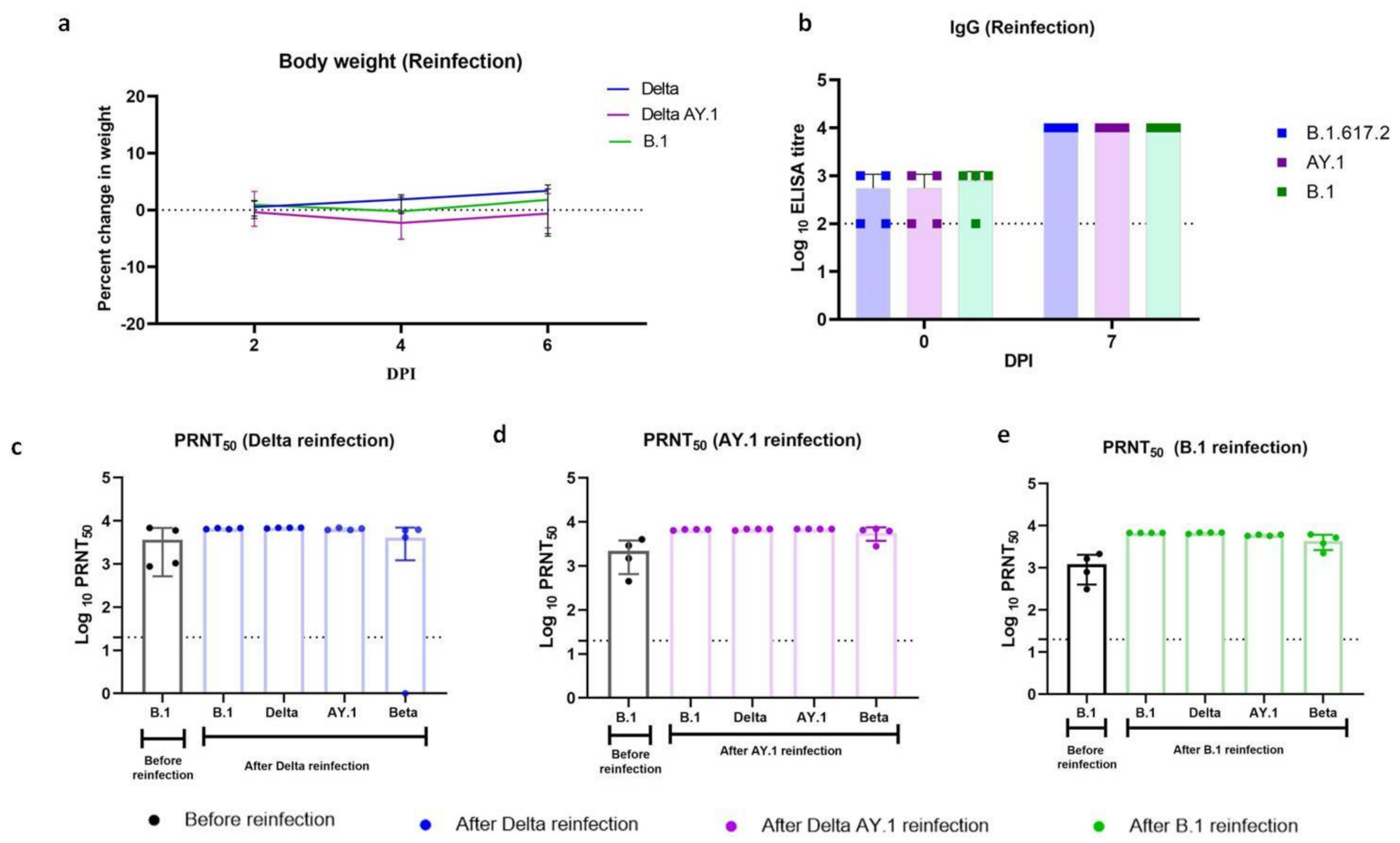 Viruses 14 00596 g004