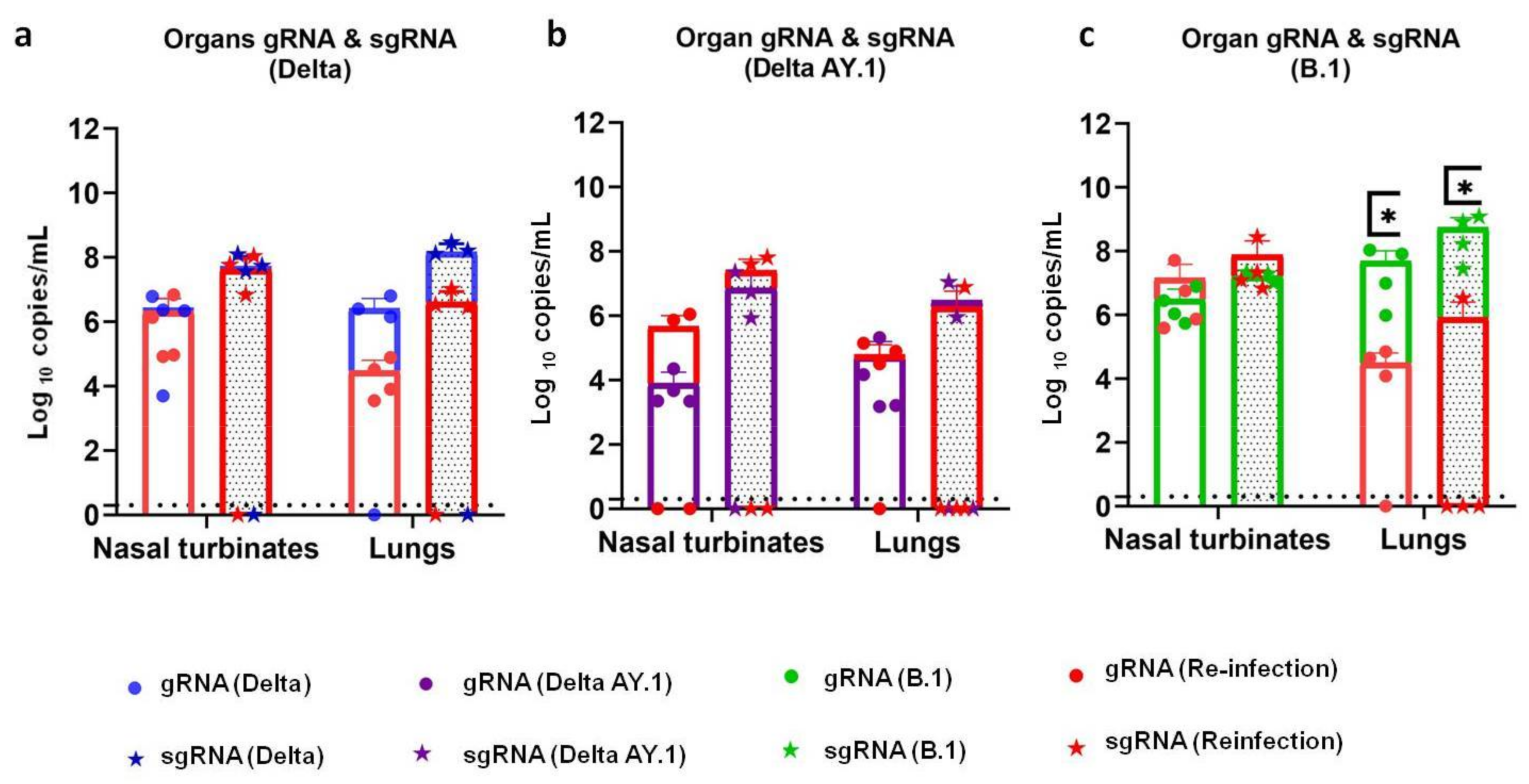 Viruses 14 00596 g007