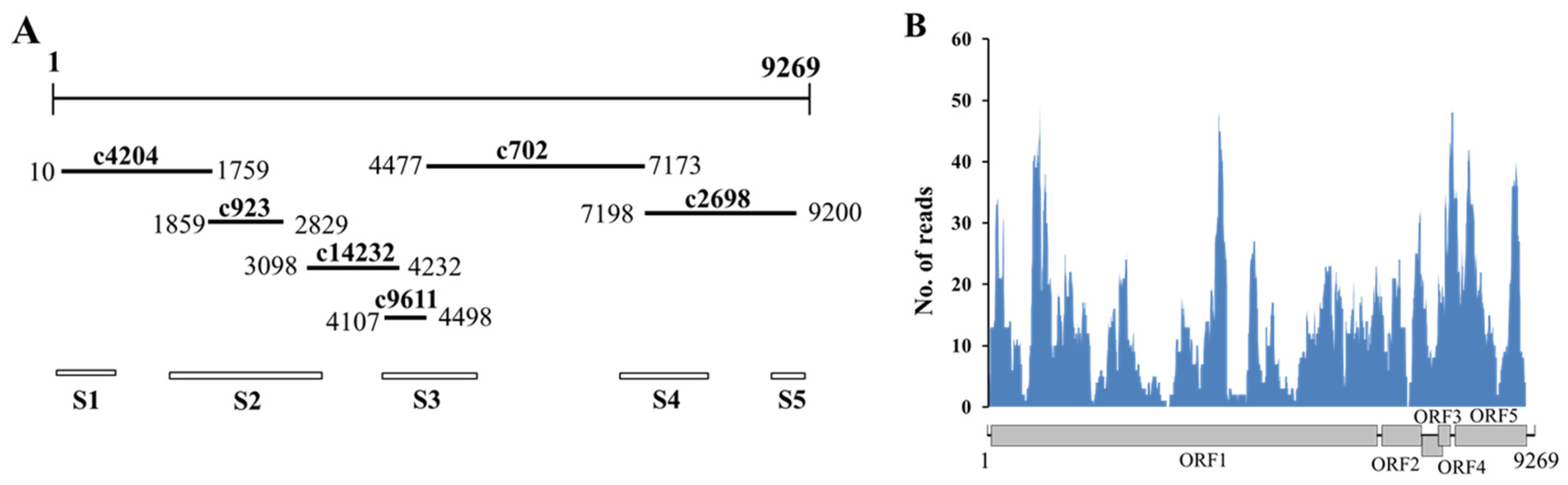 Viruses 14 00599 g001 Viruses 14 00599 g001