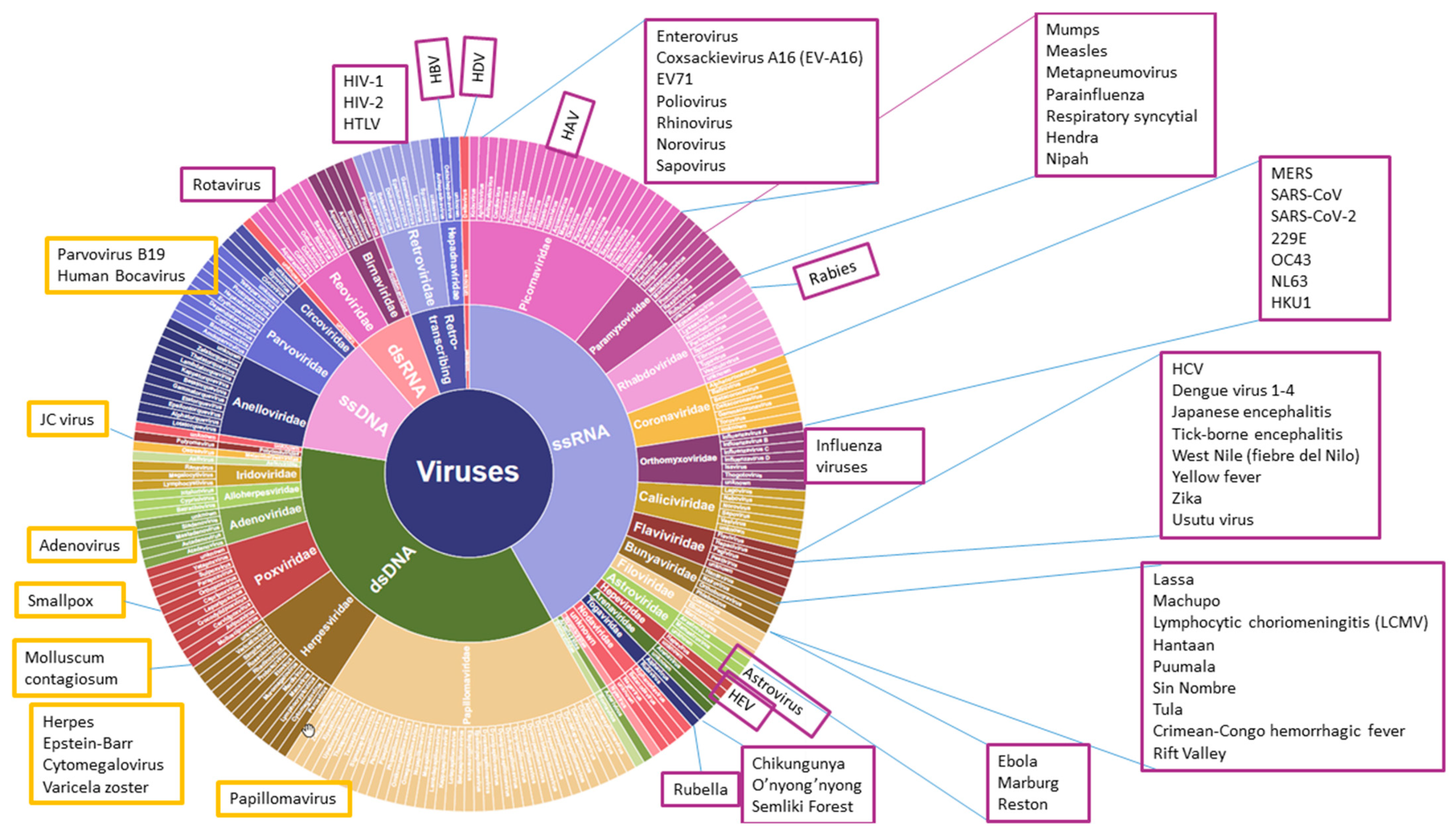 Viruses 14 00600 g002