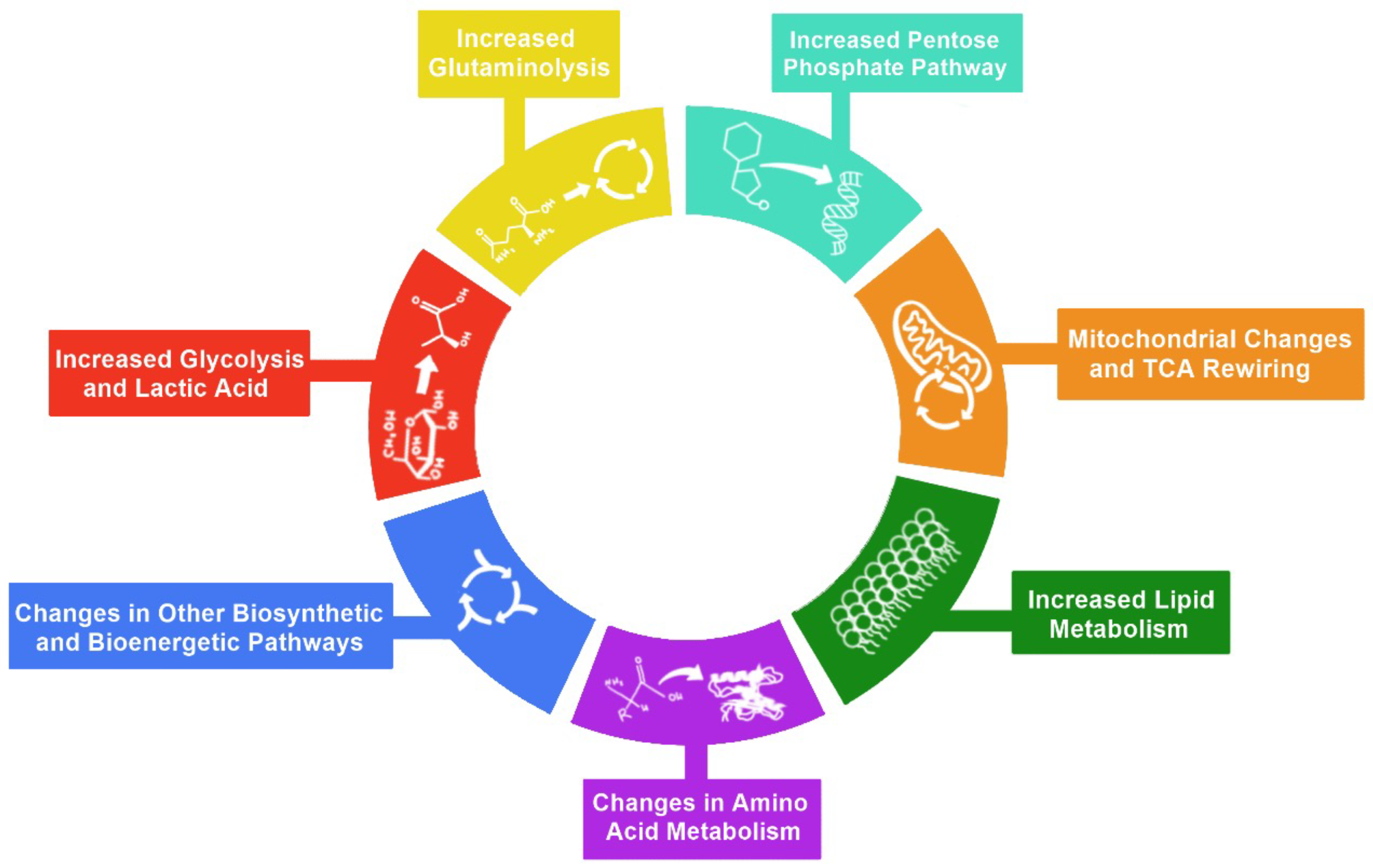 Viruses 14 00602 g001 550
