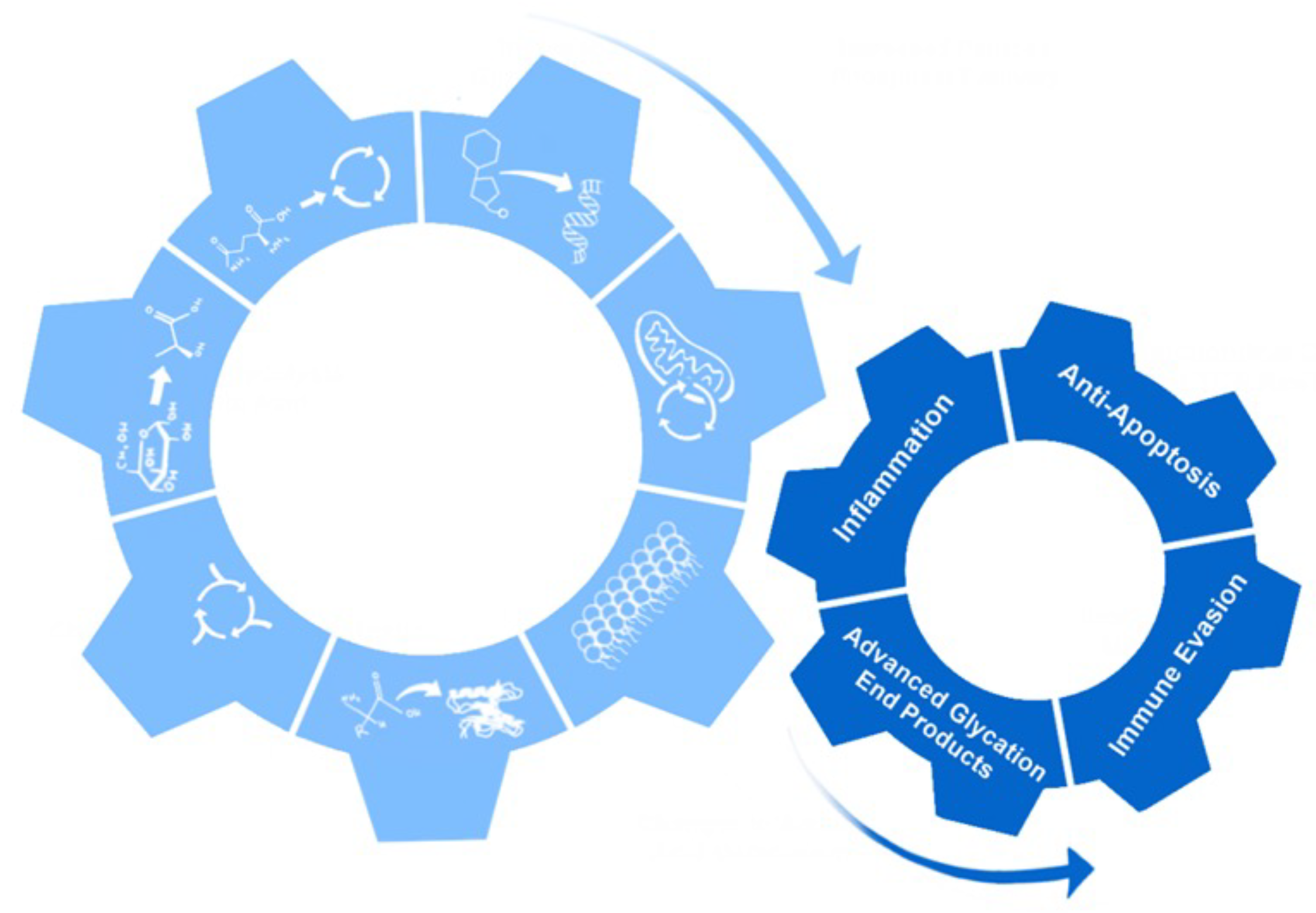 Viruses 14 00602 g004 550