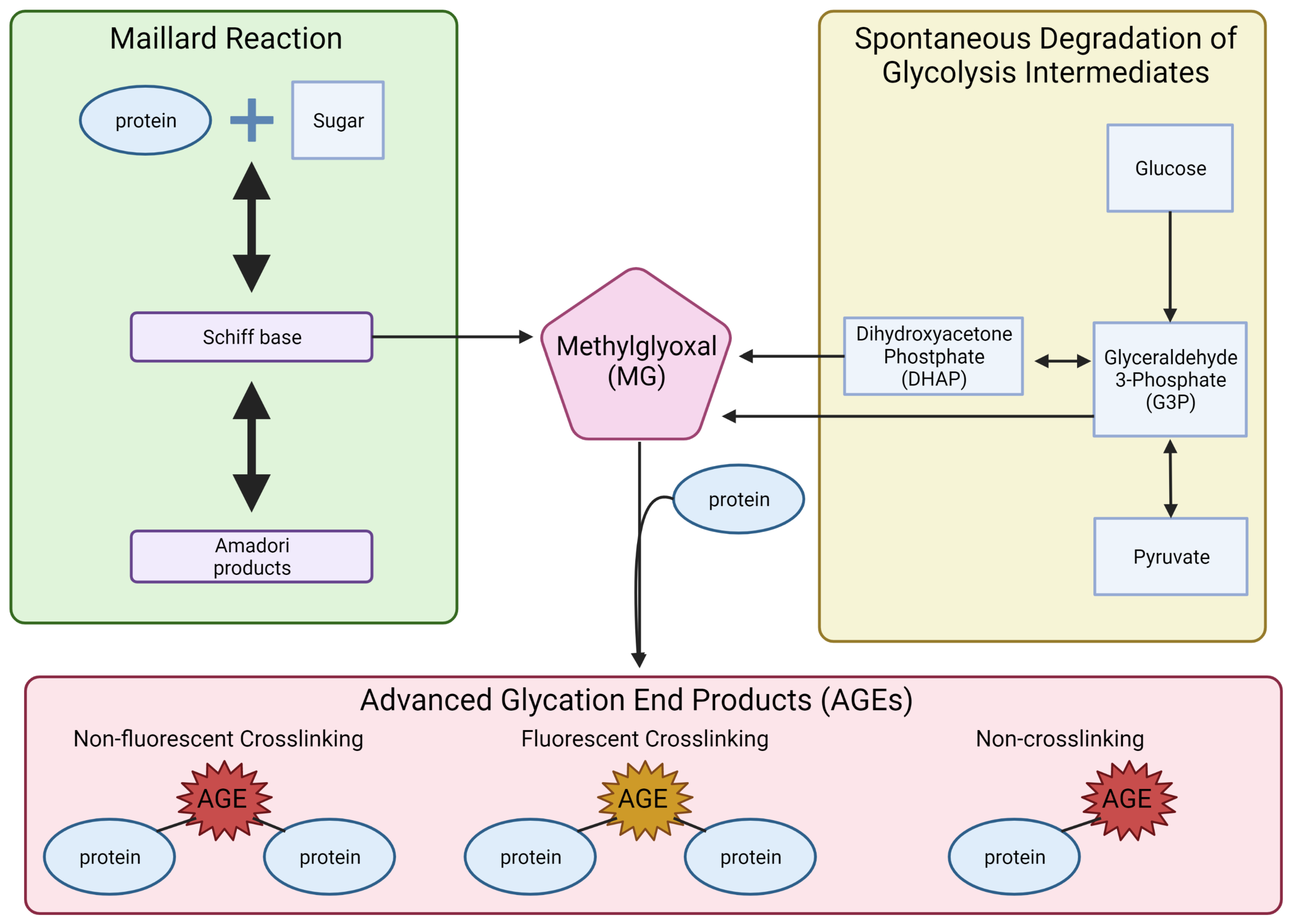 Viruses 14 00602 g005 550
