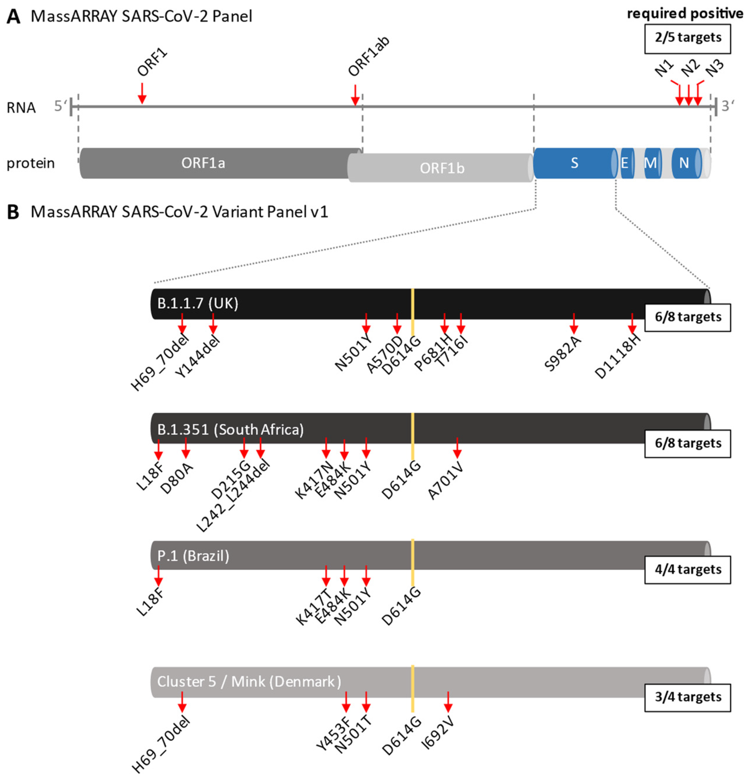 Viruses 14 00604 g002