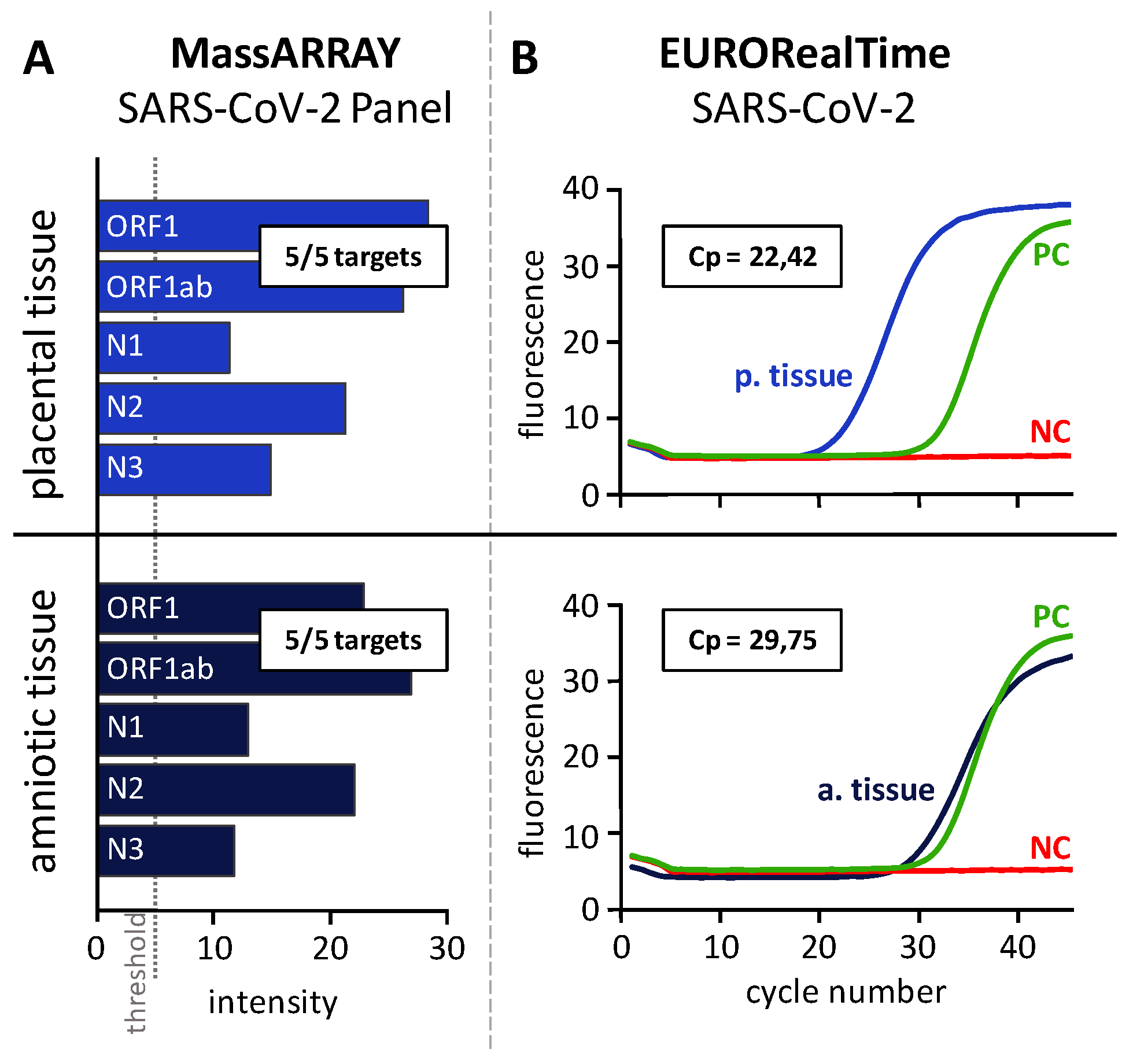 Viruses 14 00604 g004