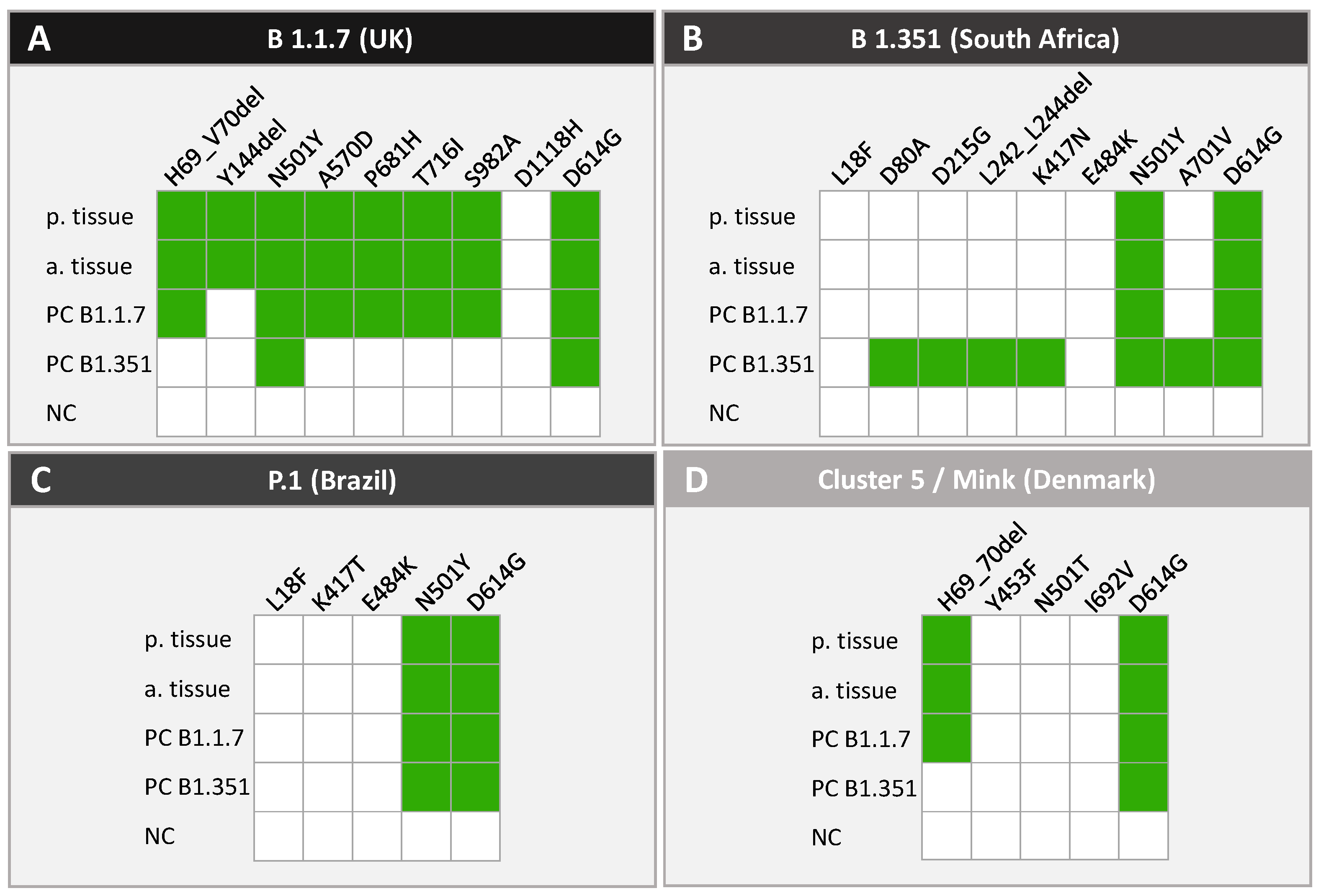 Viruses 14 00604 g005
