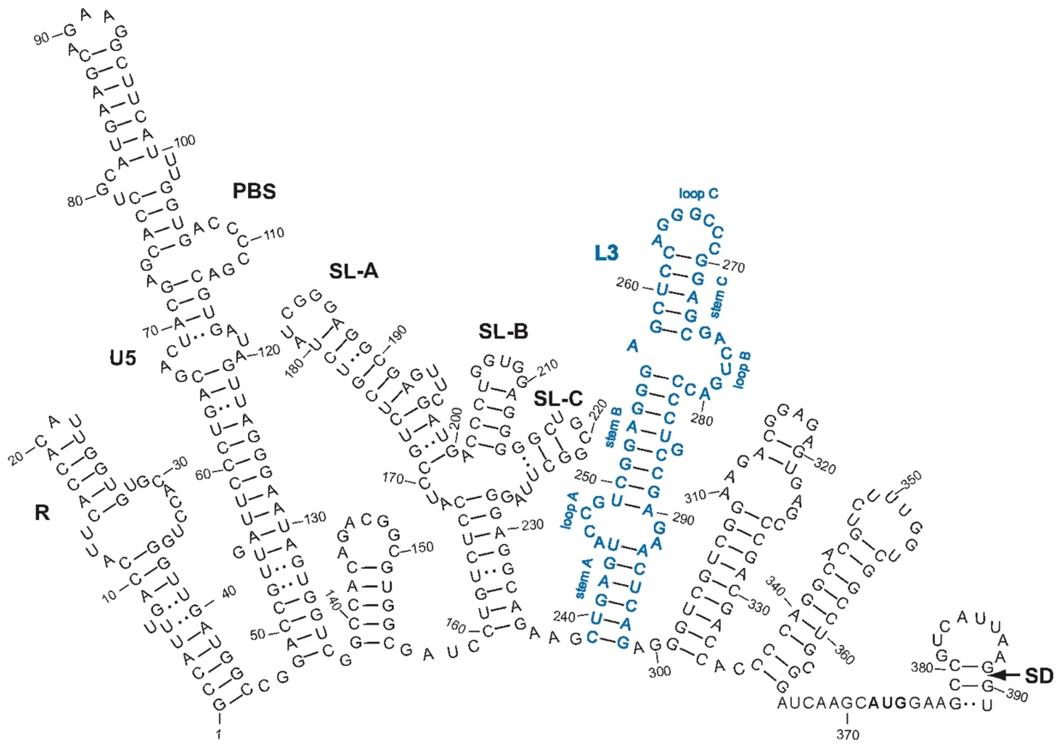 Viruses 14 00606 g001
