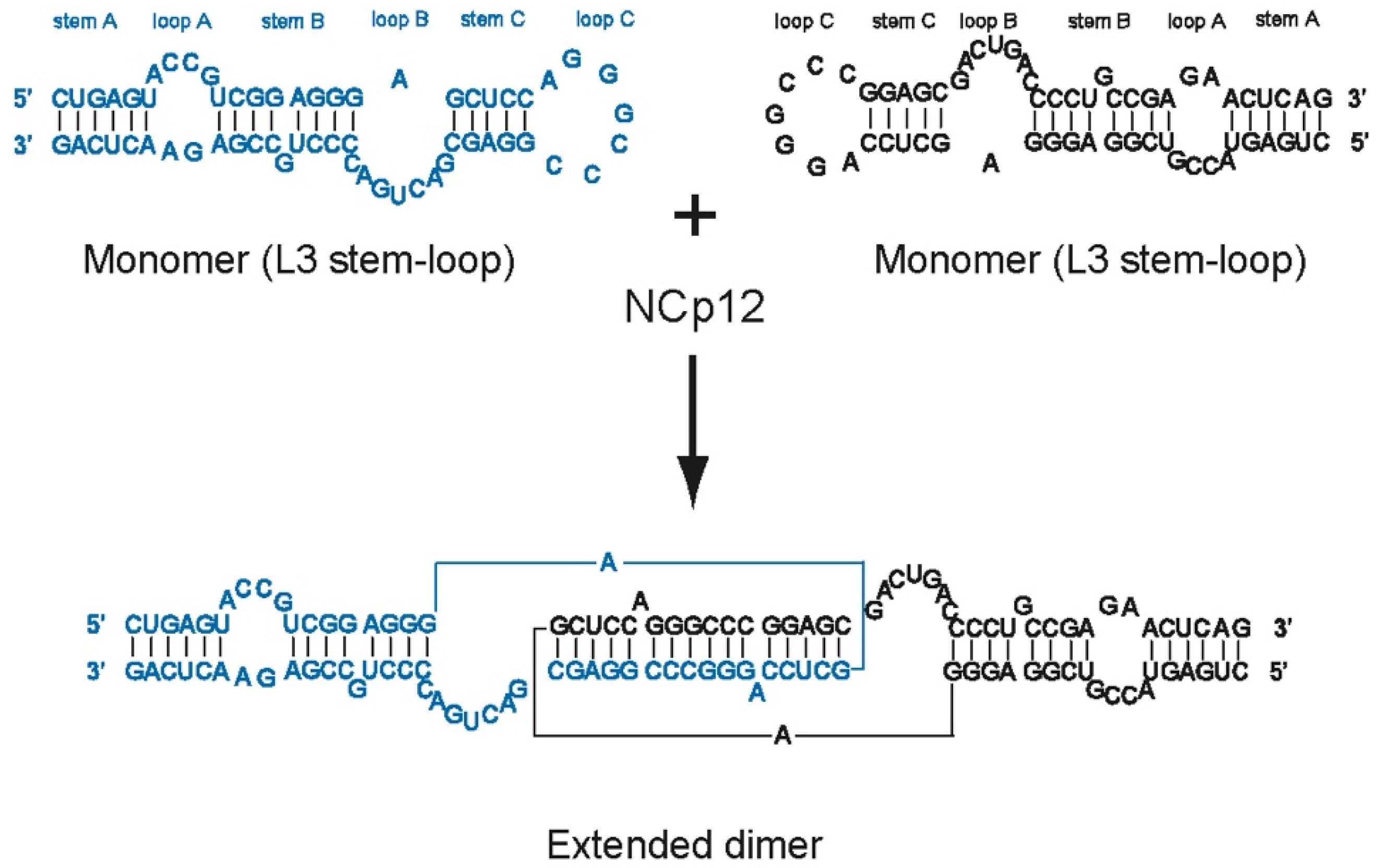 Viruses 14 00606 g002