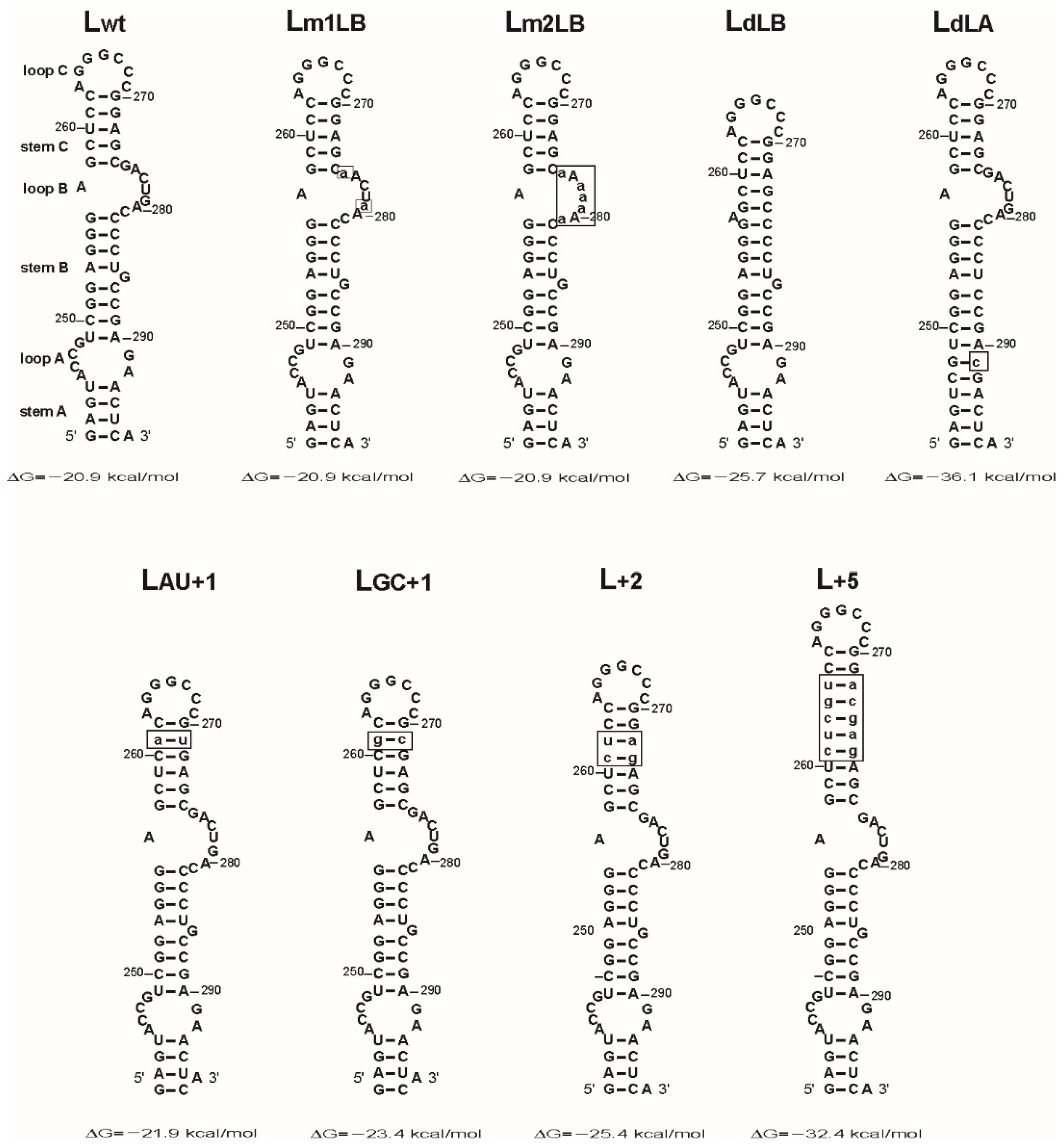 Viruses 14 00606 g003