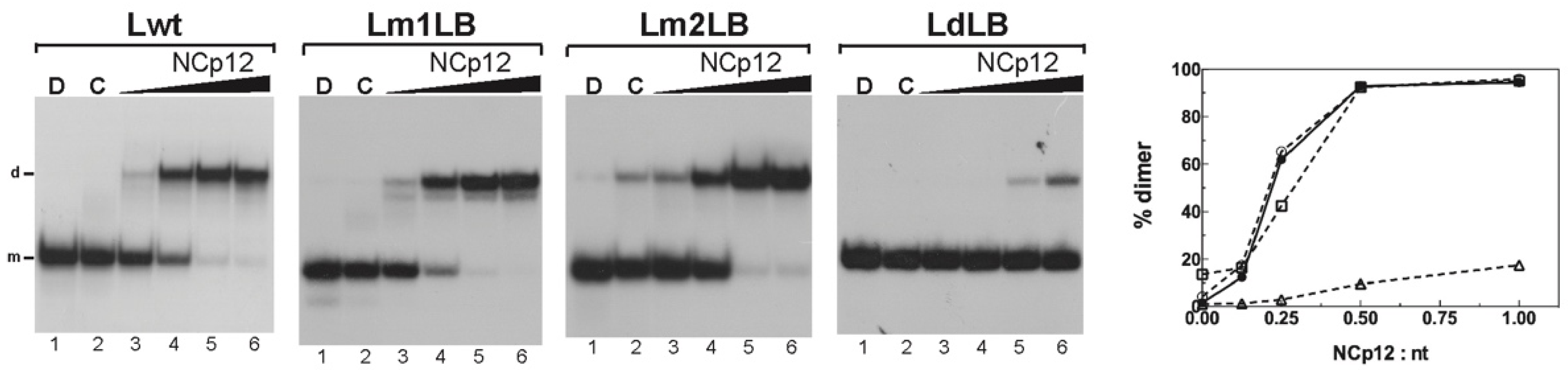 Viruses 14 00606 g004
