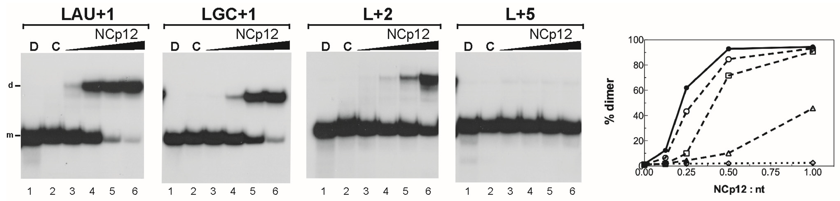 Viruses 14 00606 g007