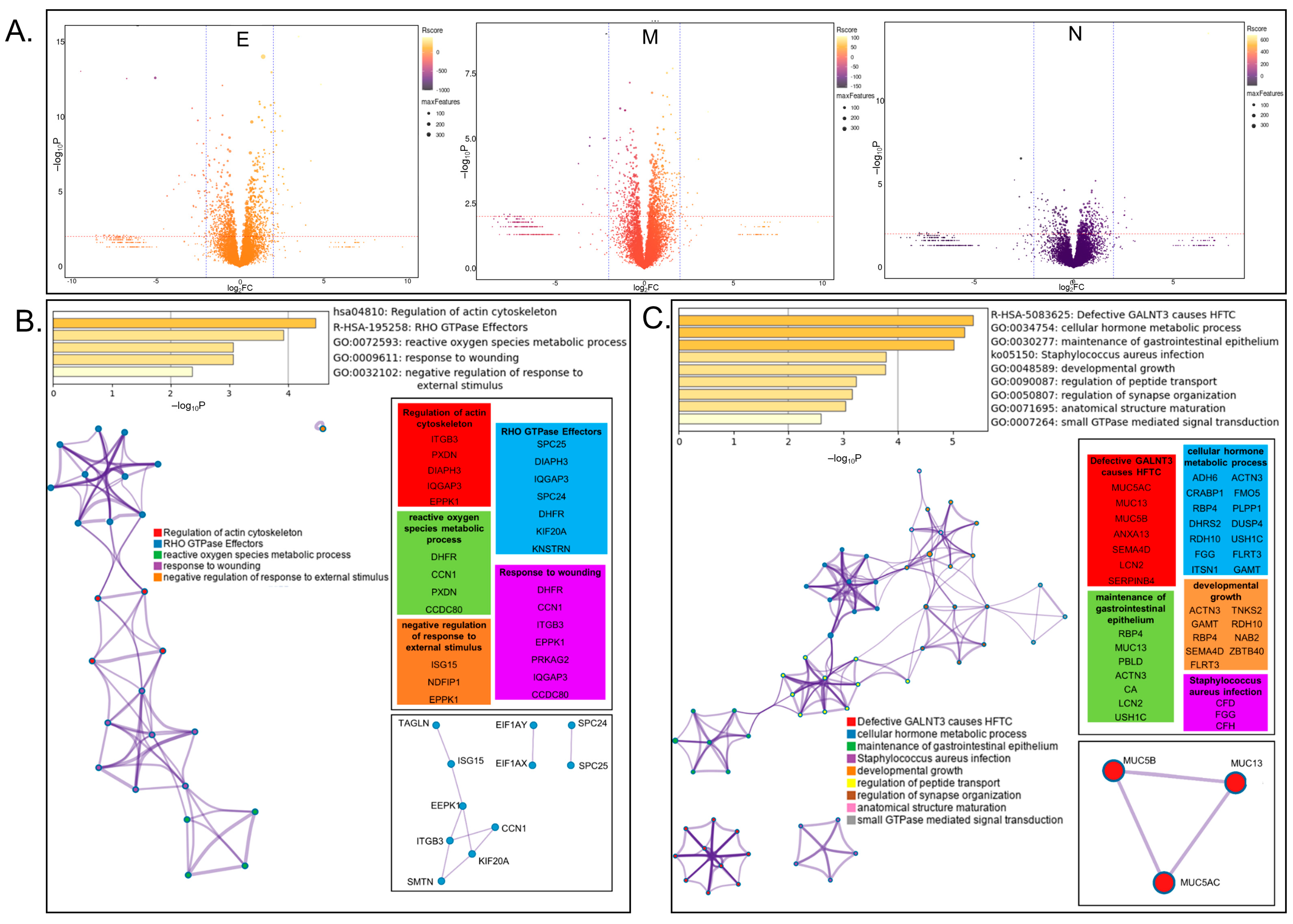 Viruses 14 00611 g003