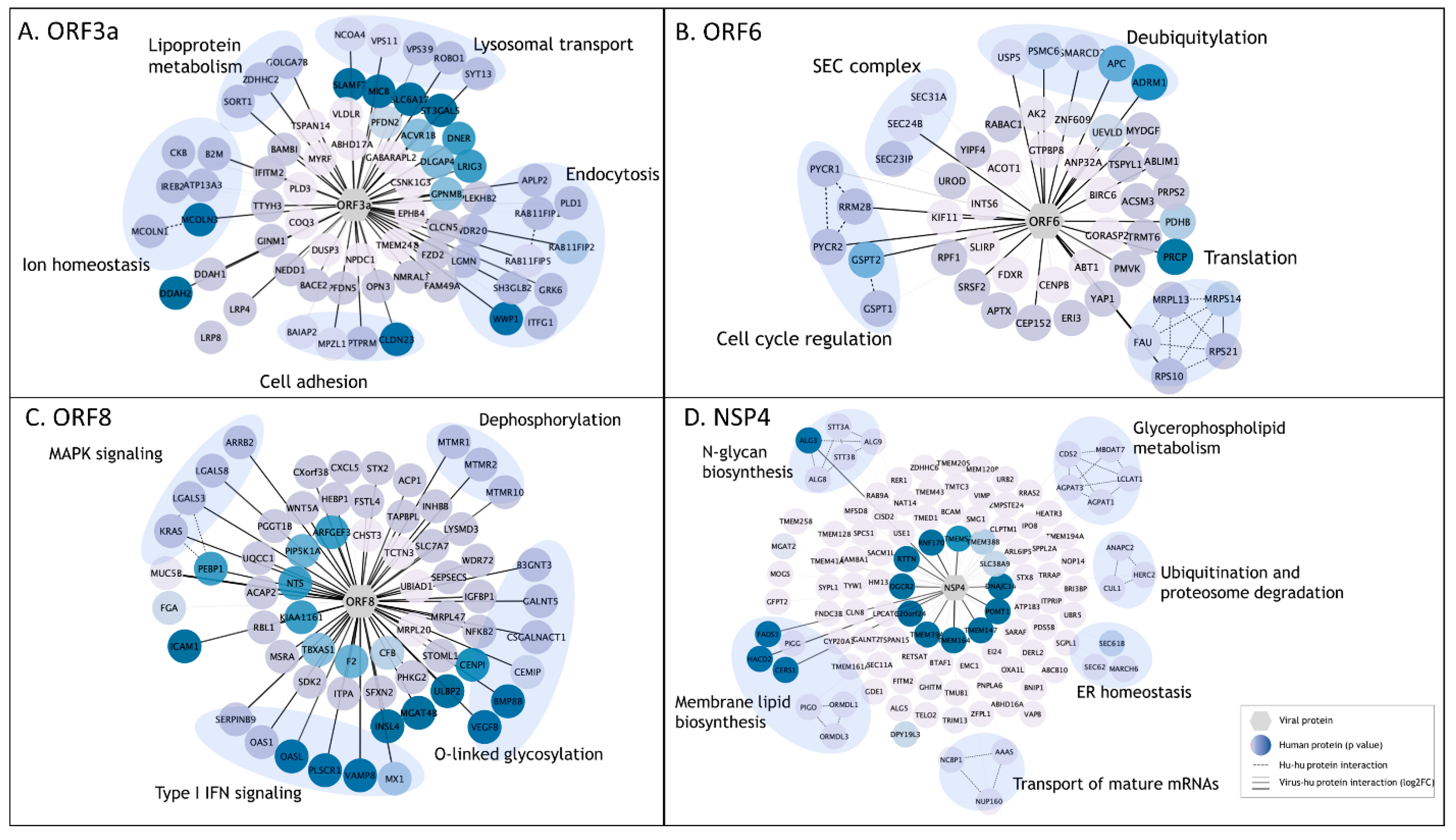 Viruses 14 00611 g005