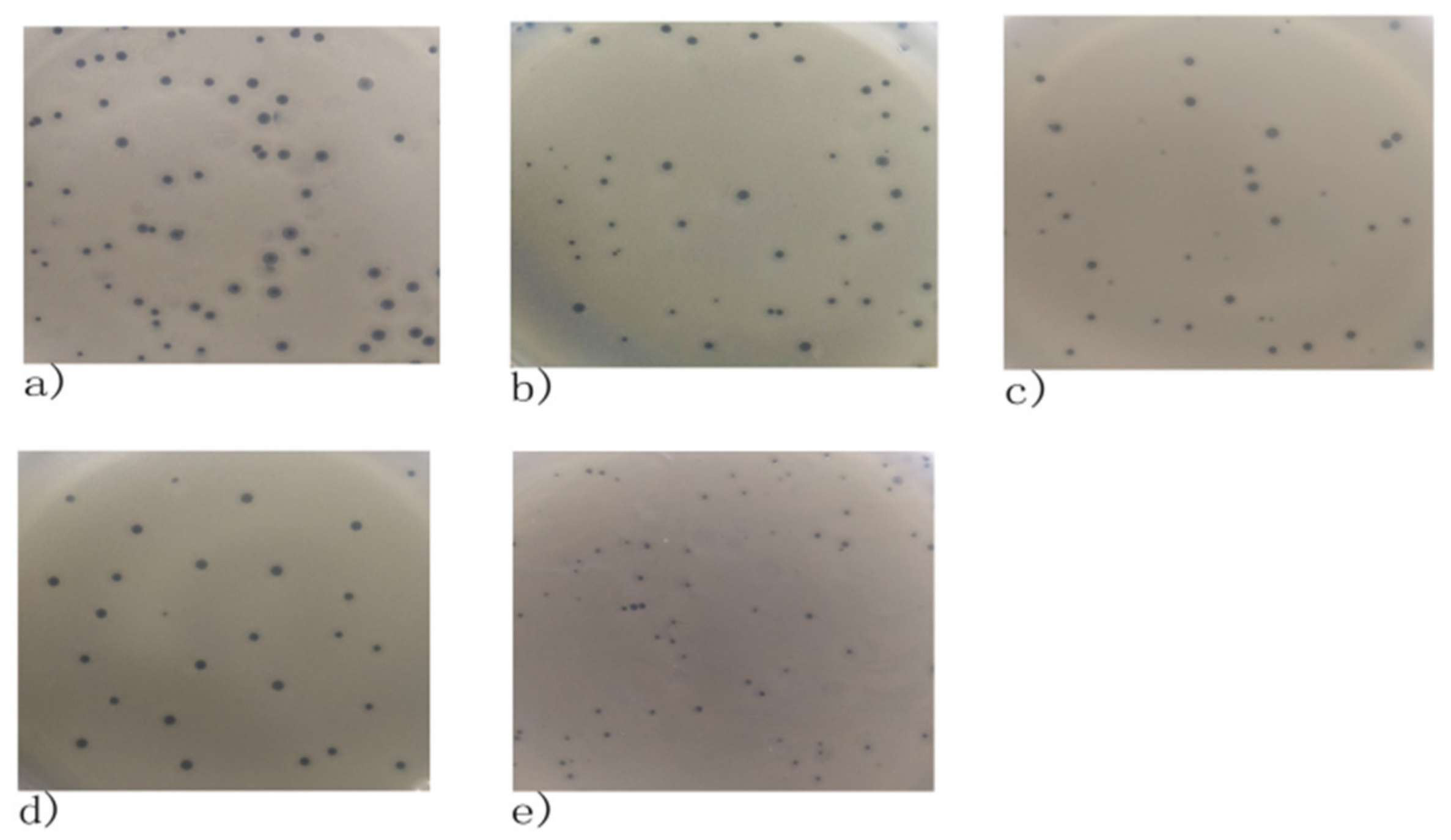 Viruses 14 00620 g001