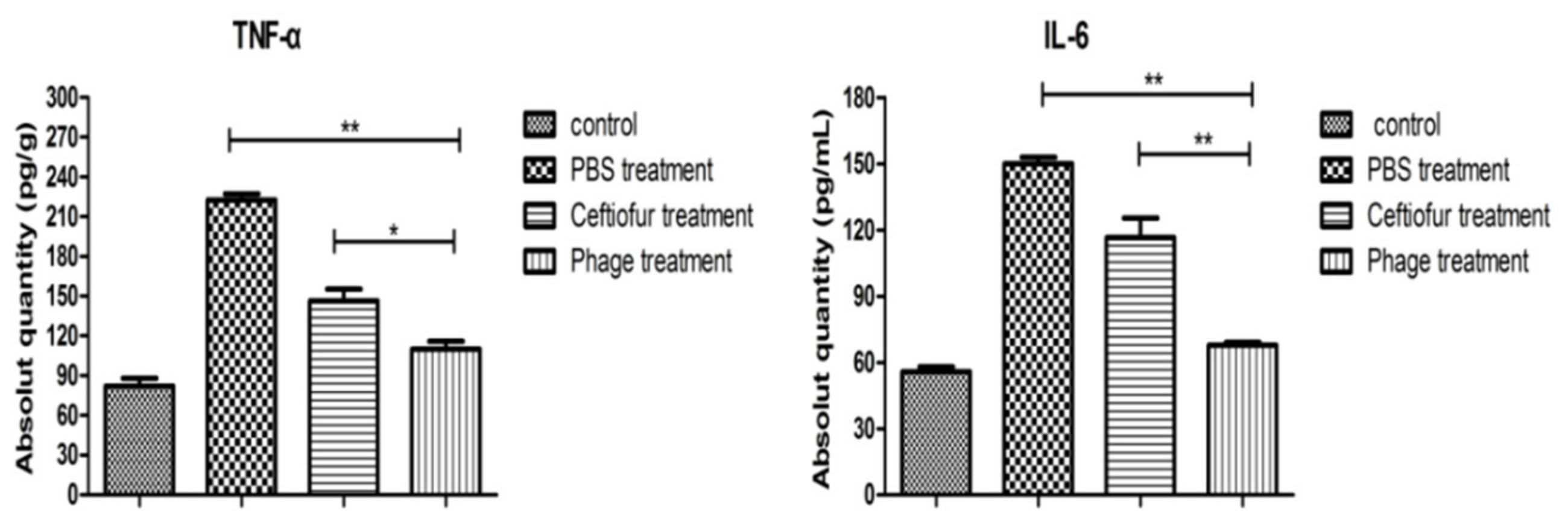 Viruses 14 00620 g009