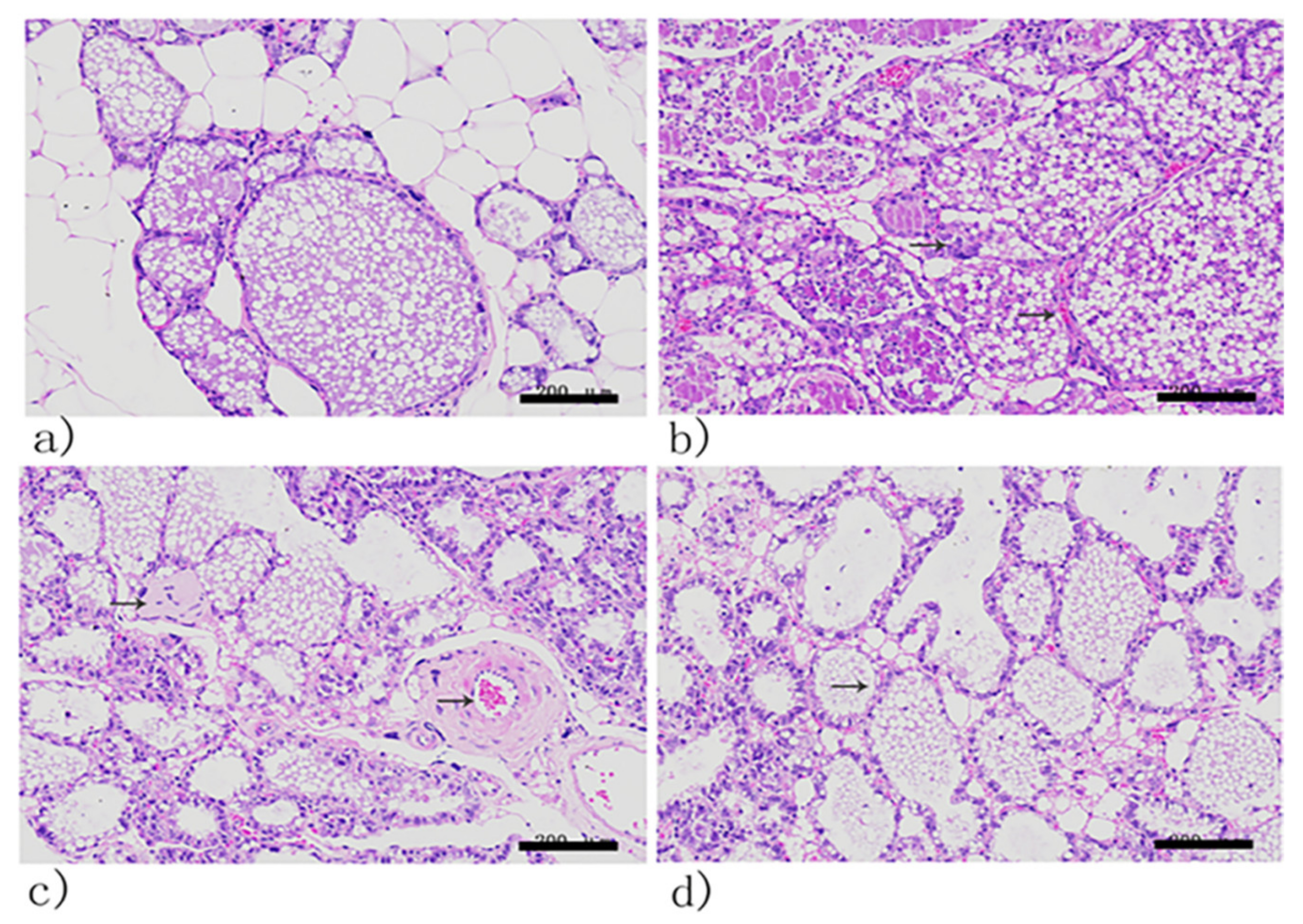 Viruses 14 00620 g010