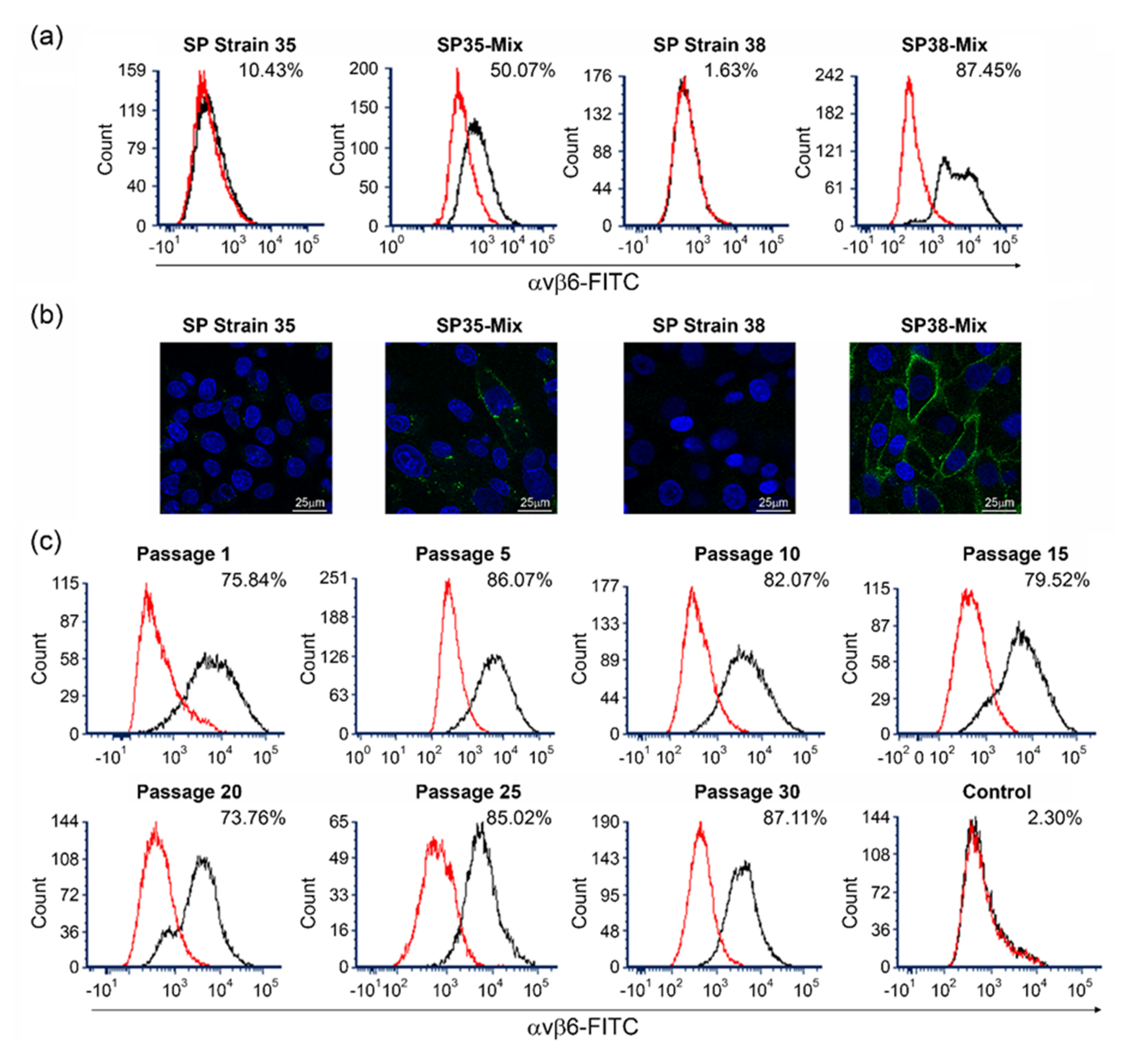 Viruses 14 00621 g002