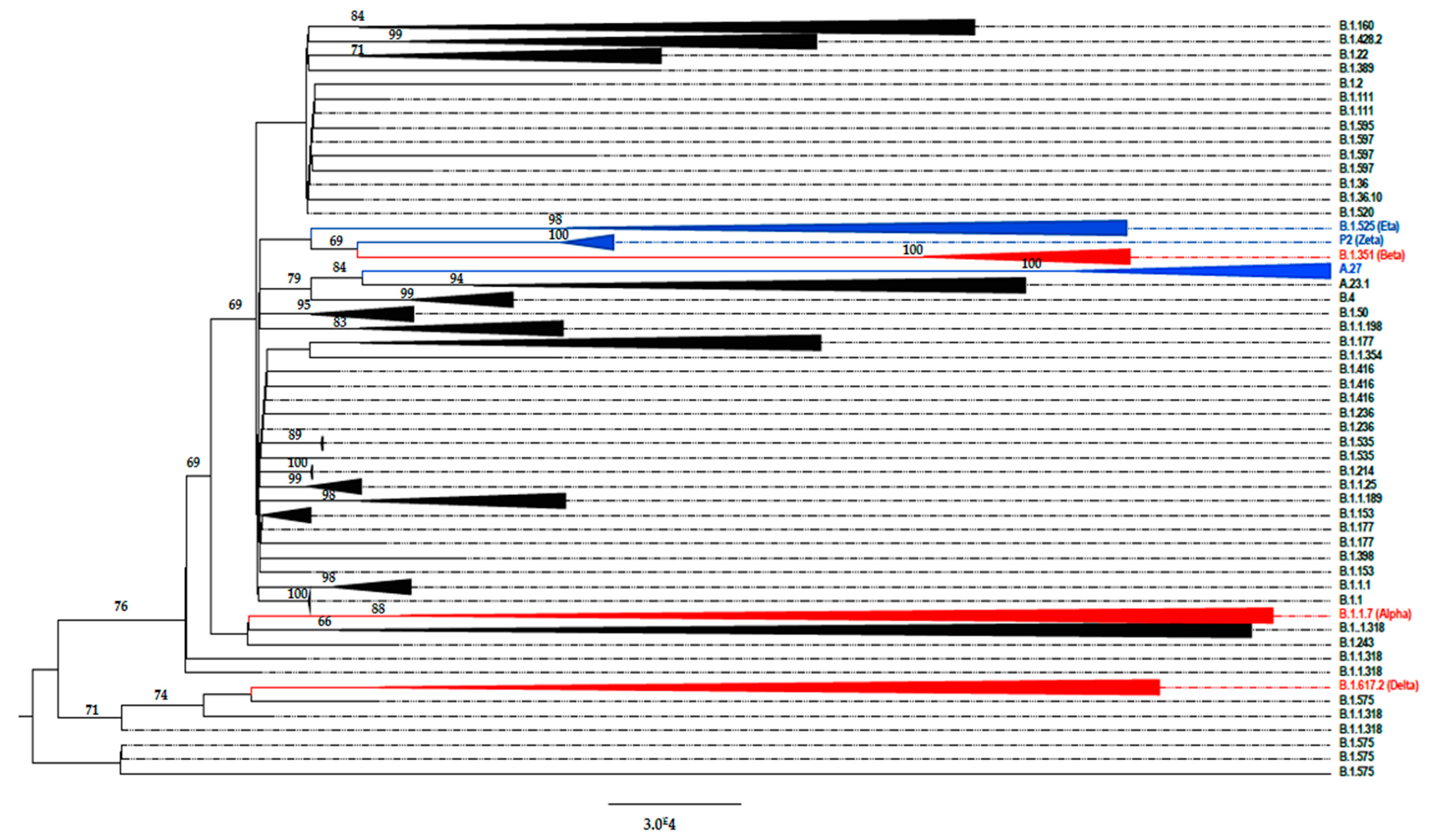 Viruses 14 00624 g002