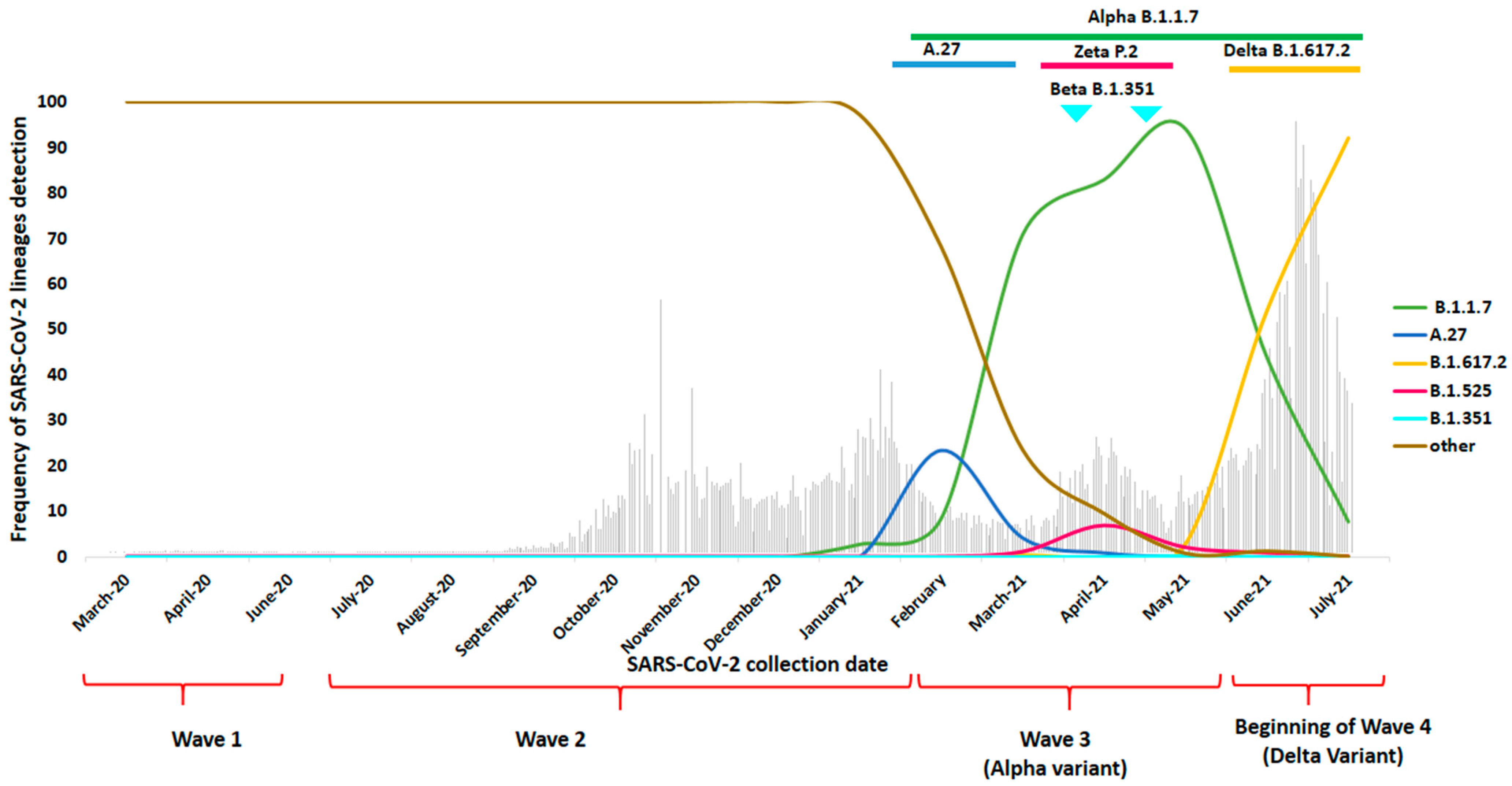Viruses 14 00624 g003