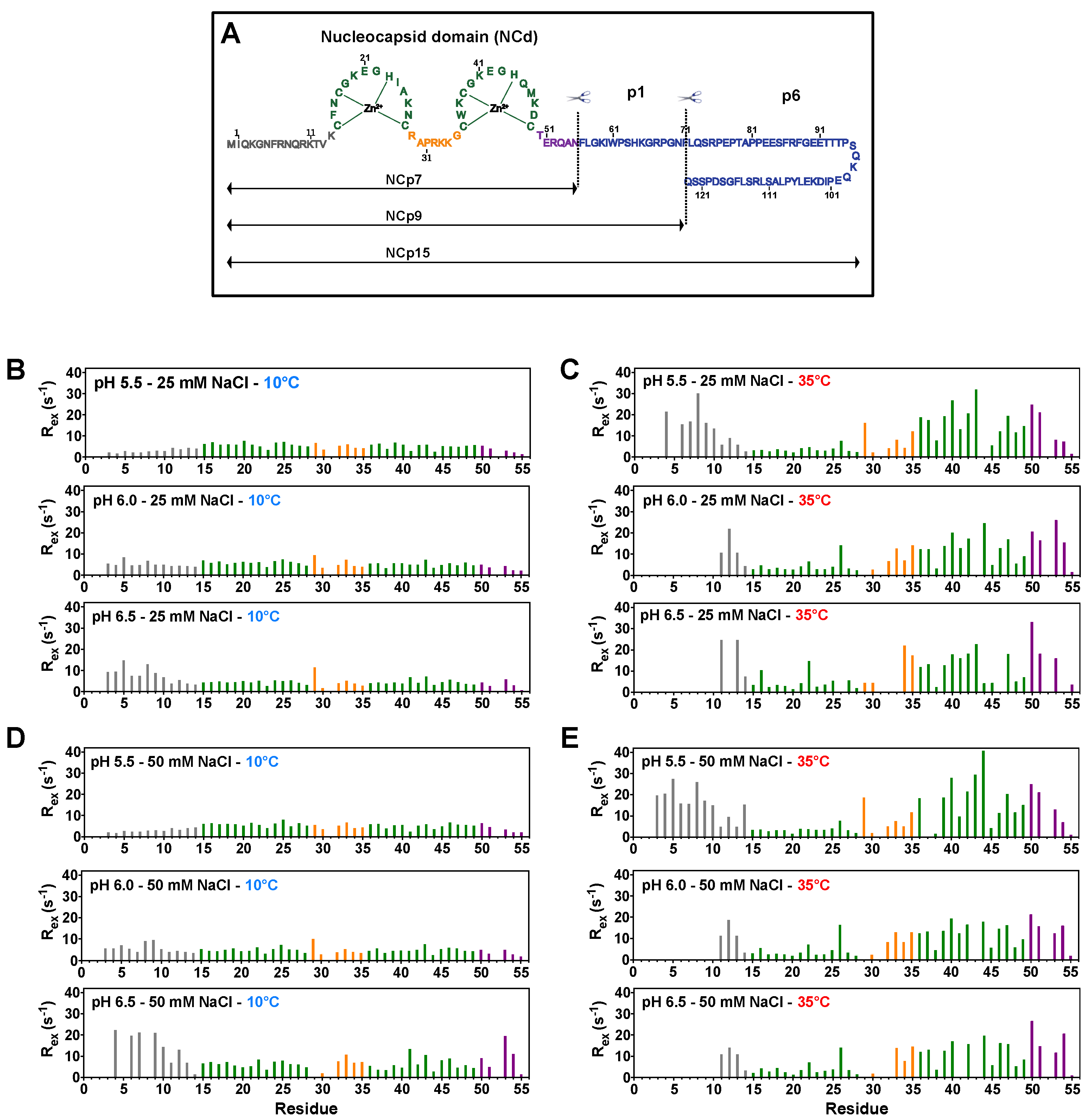 Viruses 14 00632 g001 Viruses 14 00632 g001