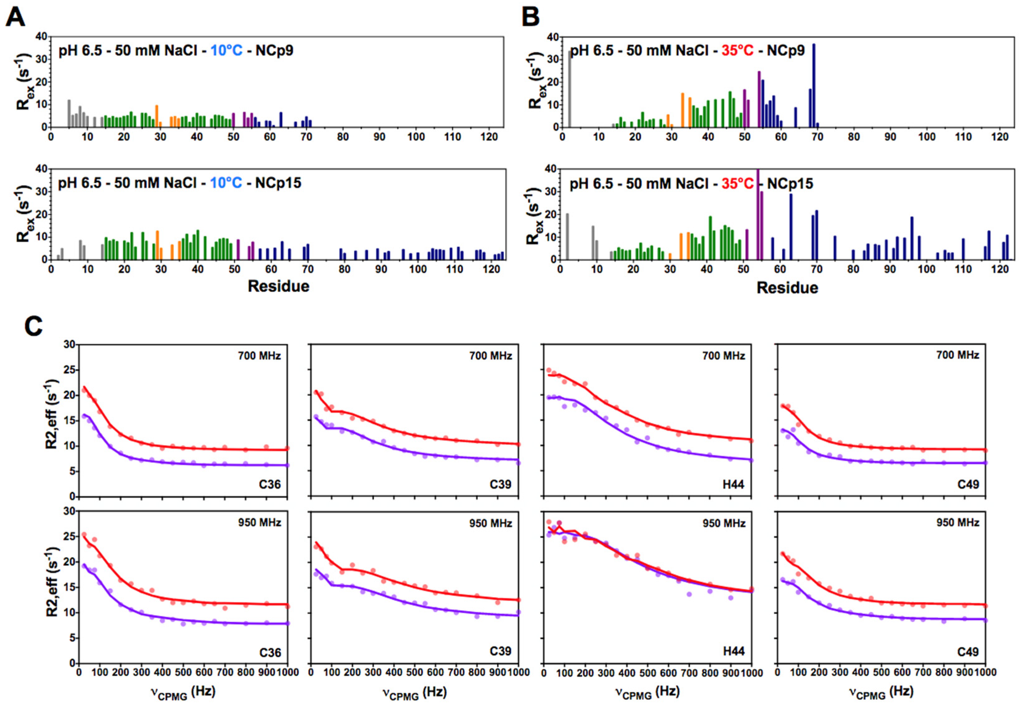 Viruses 14 00632 g002 Viruses 14 00632 g002