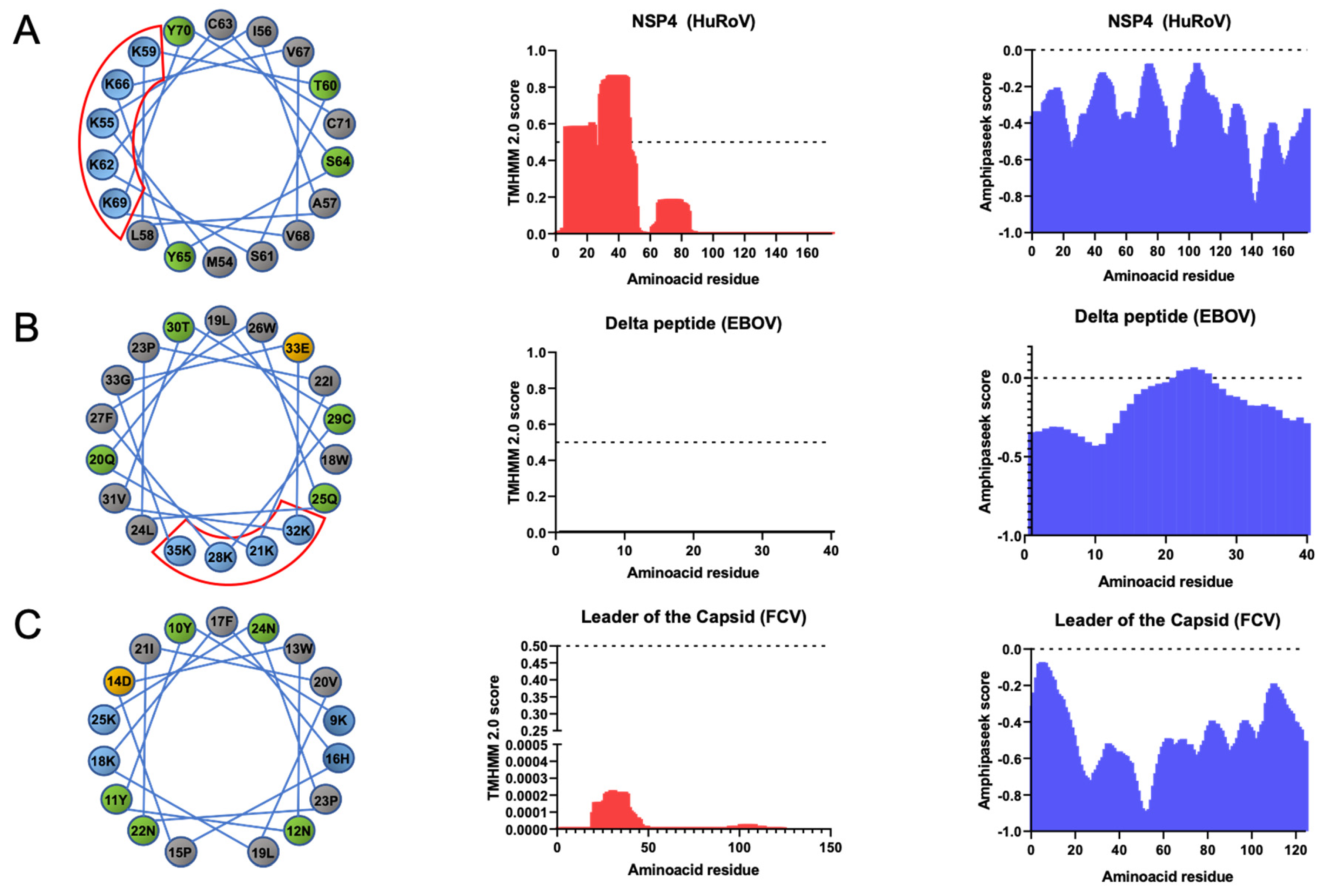 Viruses 14 00635 g001