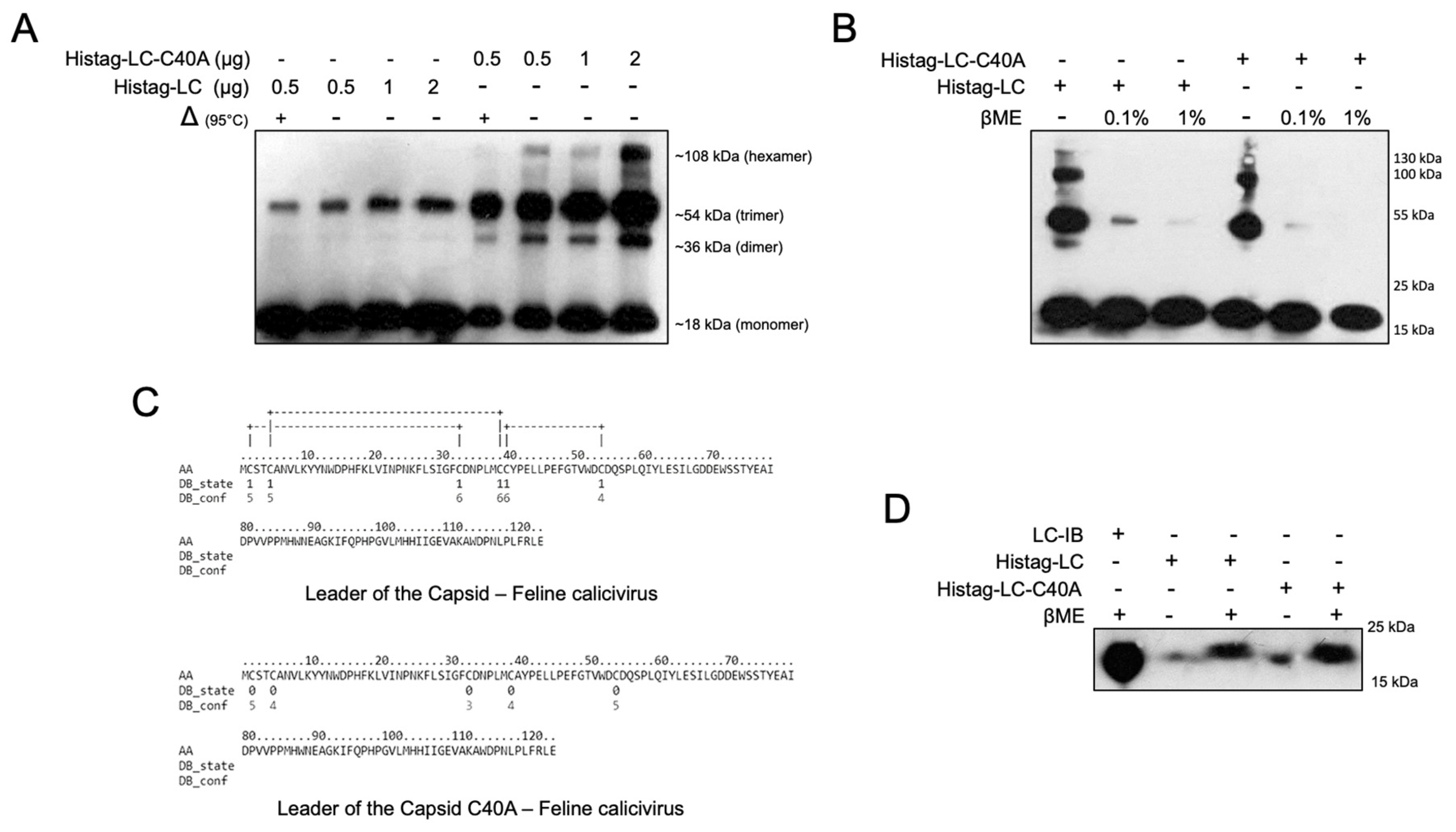 Viruses 14 00635 g003