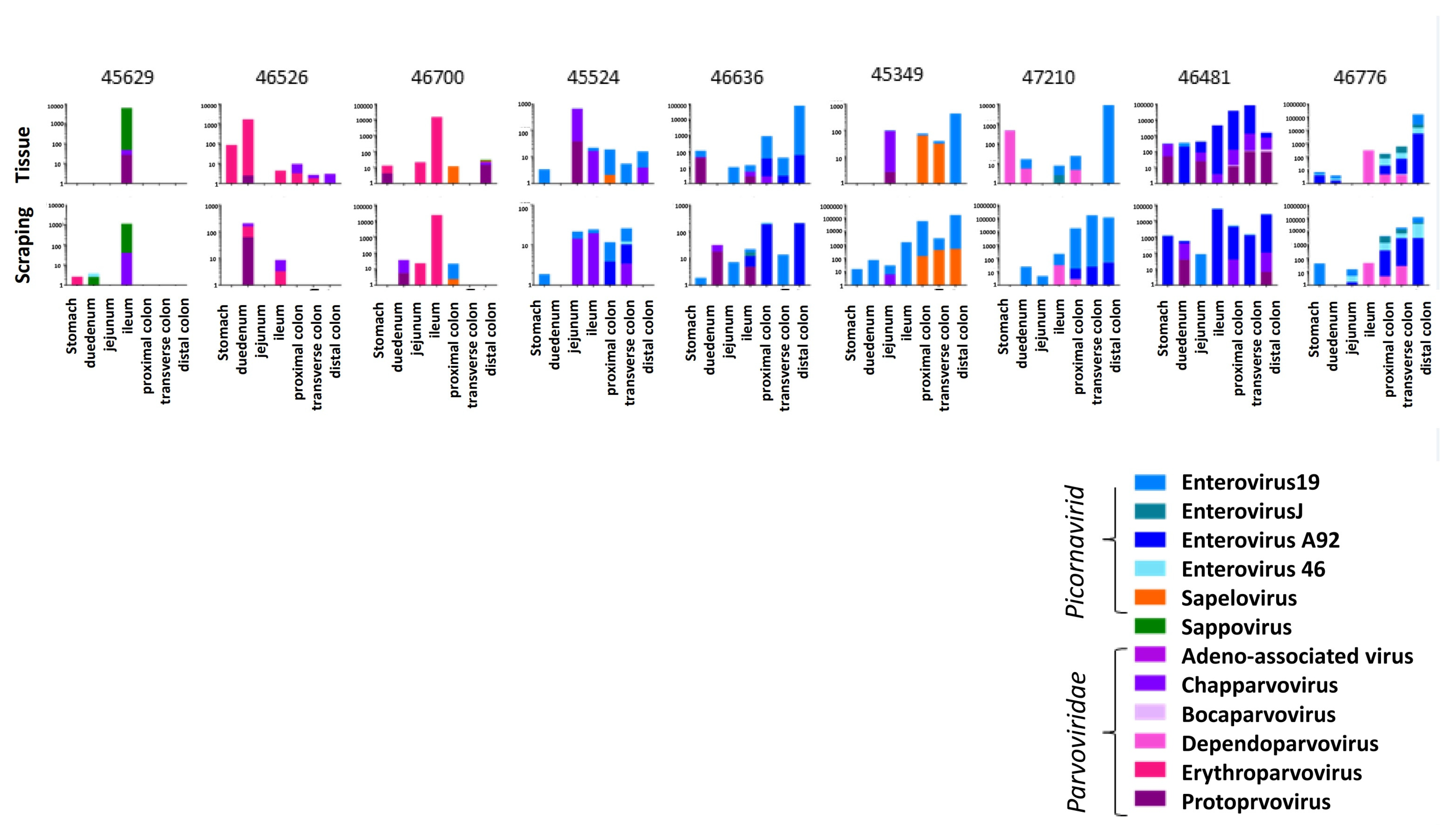 Viruses 14 00638 g001 550