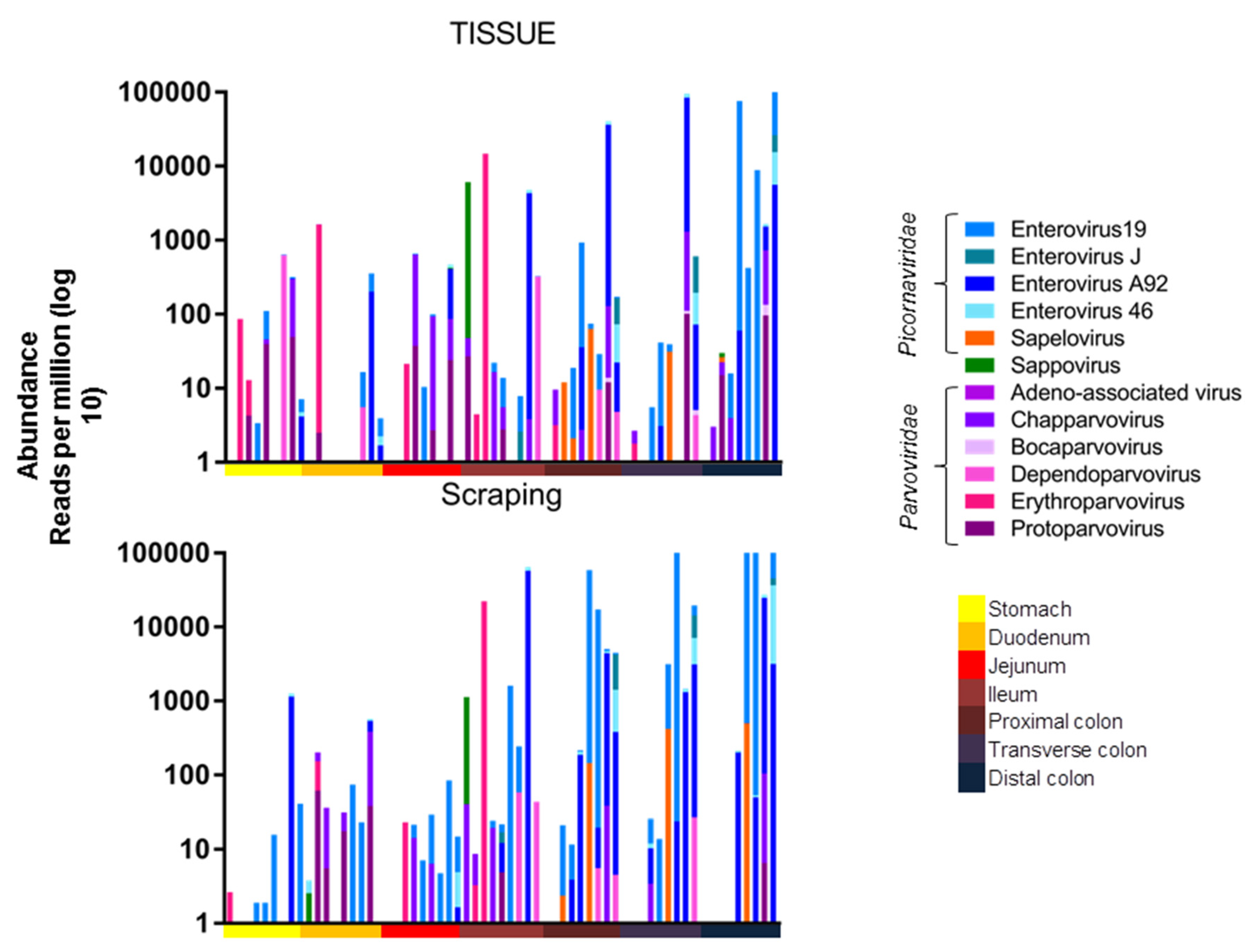 Viruses 14 00638 g002 550