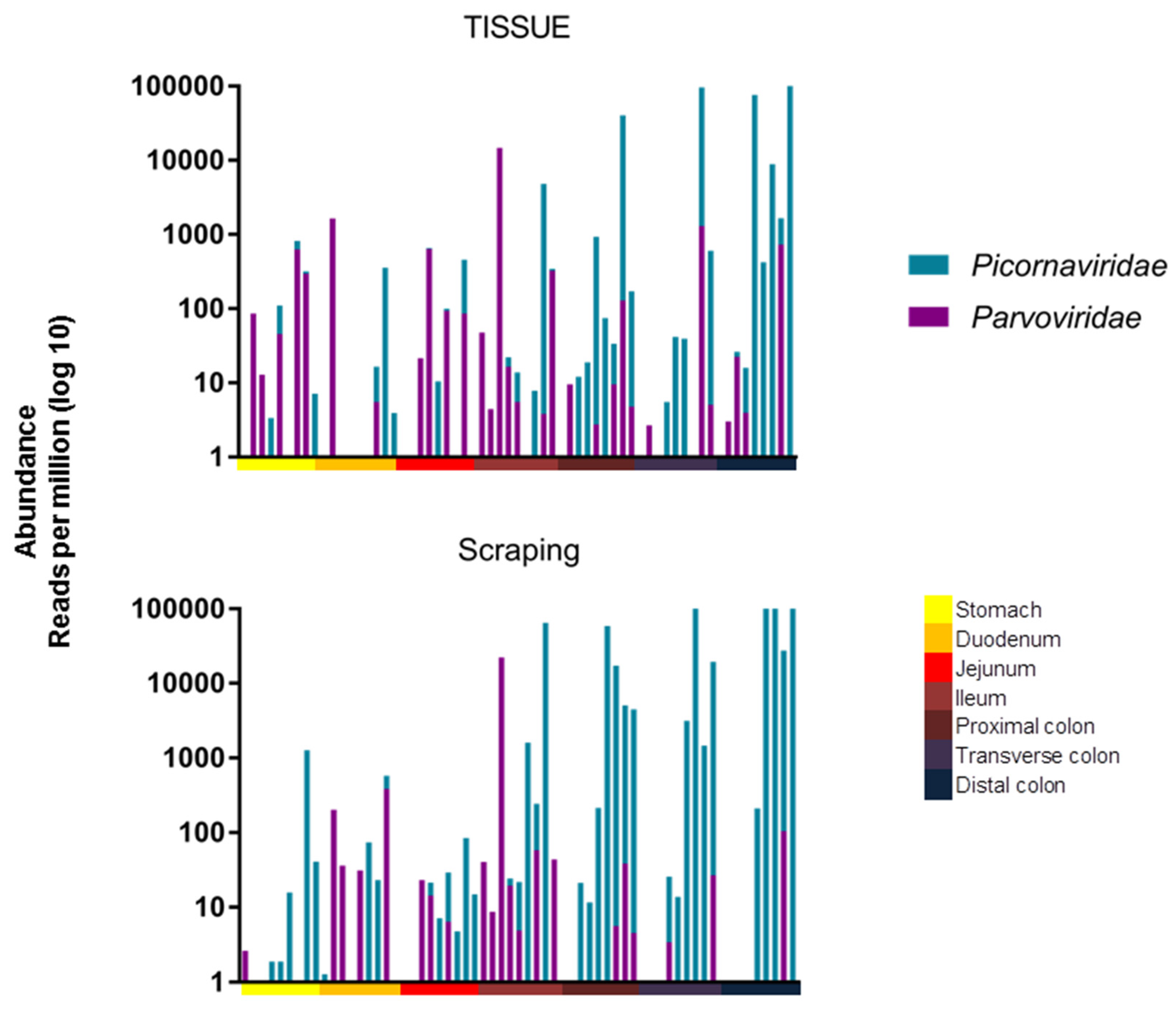 Viruses 14 00638 g003 550