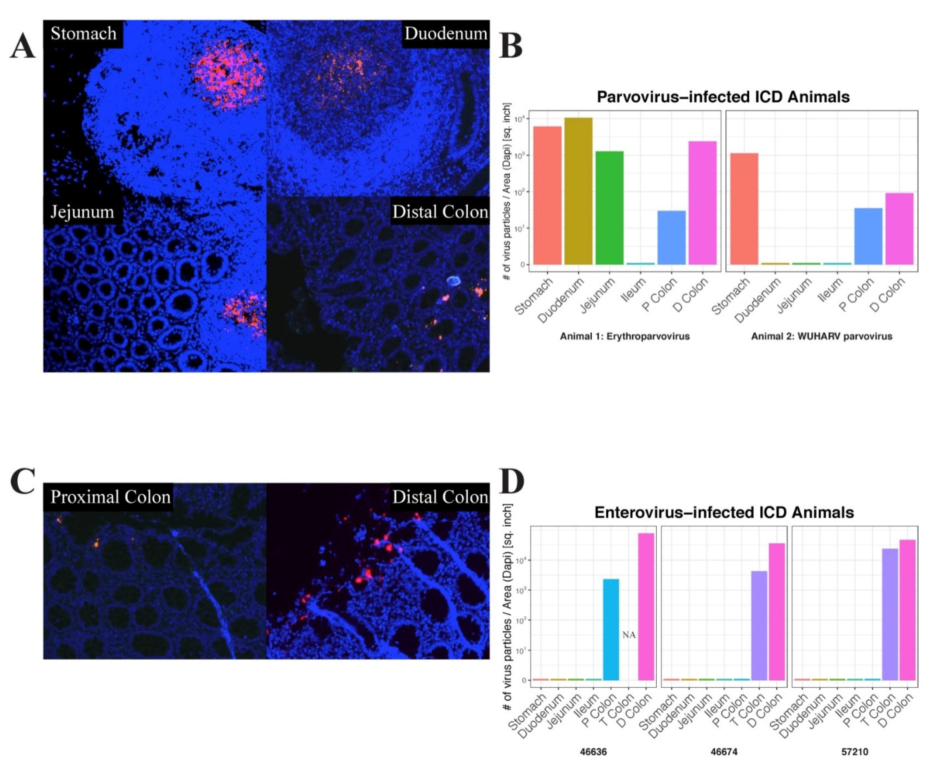 Viruses 14 00638 g005 550