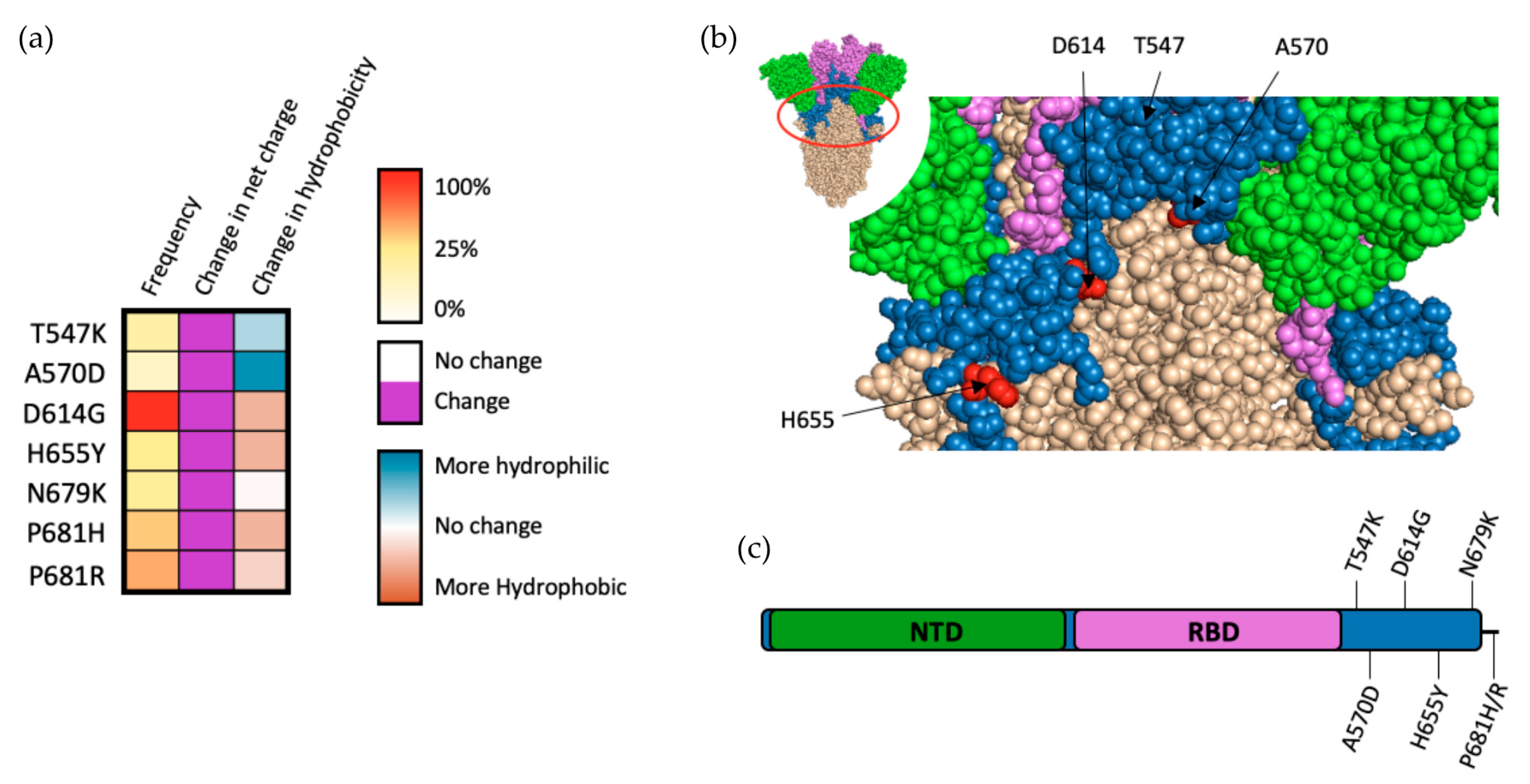 Viruses 14 00640 g005